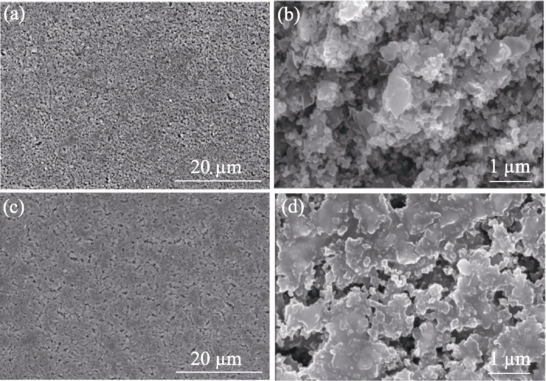 SEM images of porous C-Si3N4 infiltration preforms with different carbon contents(a, b) Low carbon content preform (LCP); (c, d) High carbon content preform (HCP)