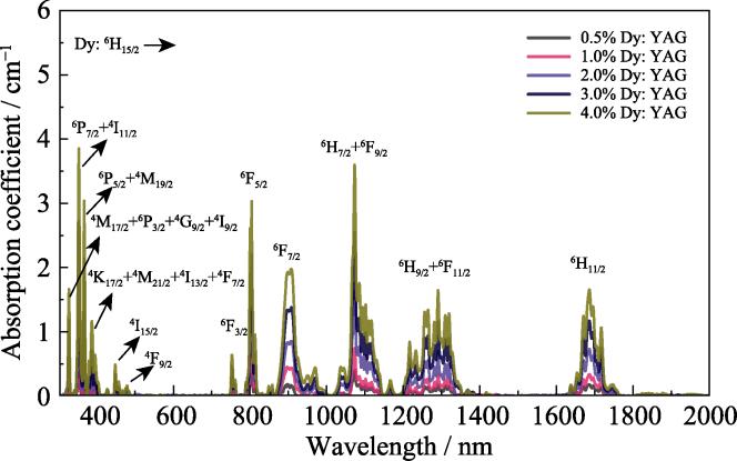 Absorption spectra of Dy: YAG crystals