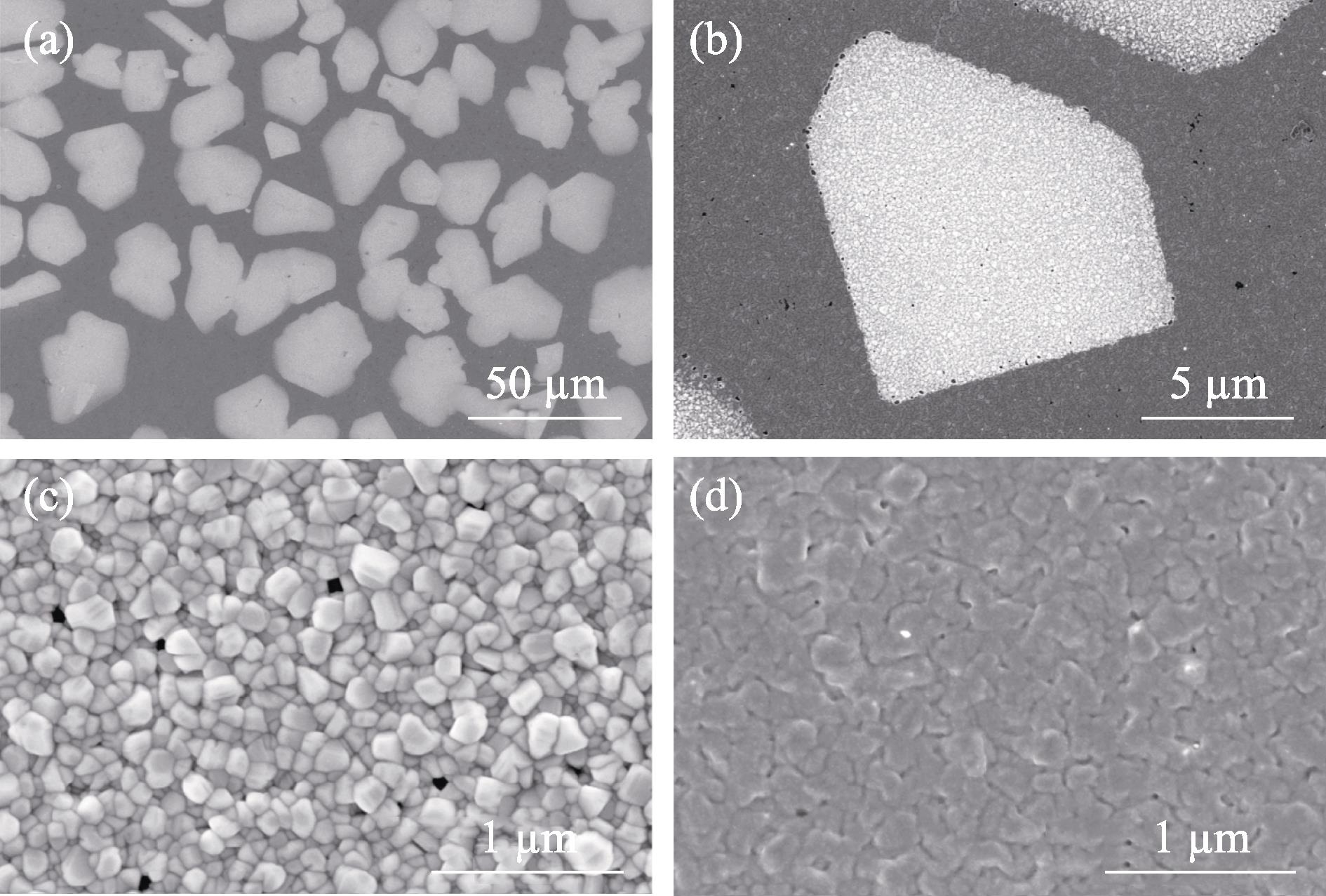 Typical SEM images of the Cl-doped CuI thin film(a) Low magnification; (b) High magnification; (c) High magnification image of the bright region; (d) High magnification image of the dark region