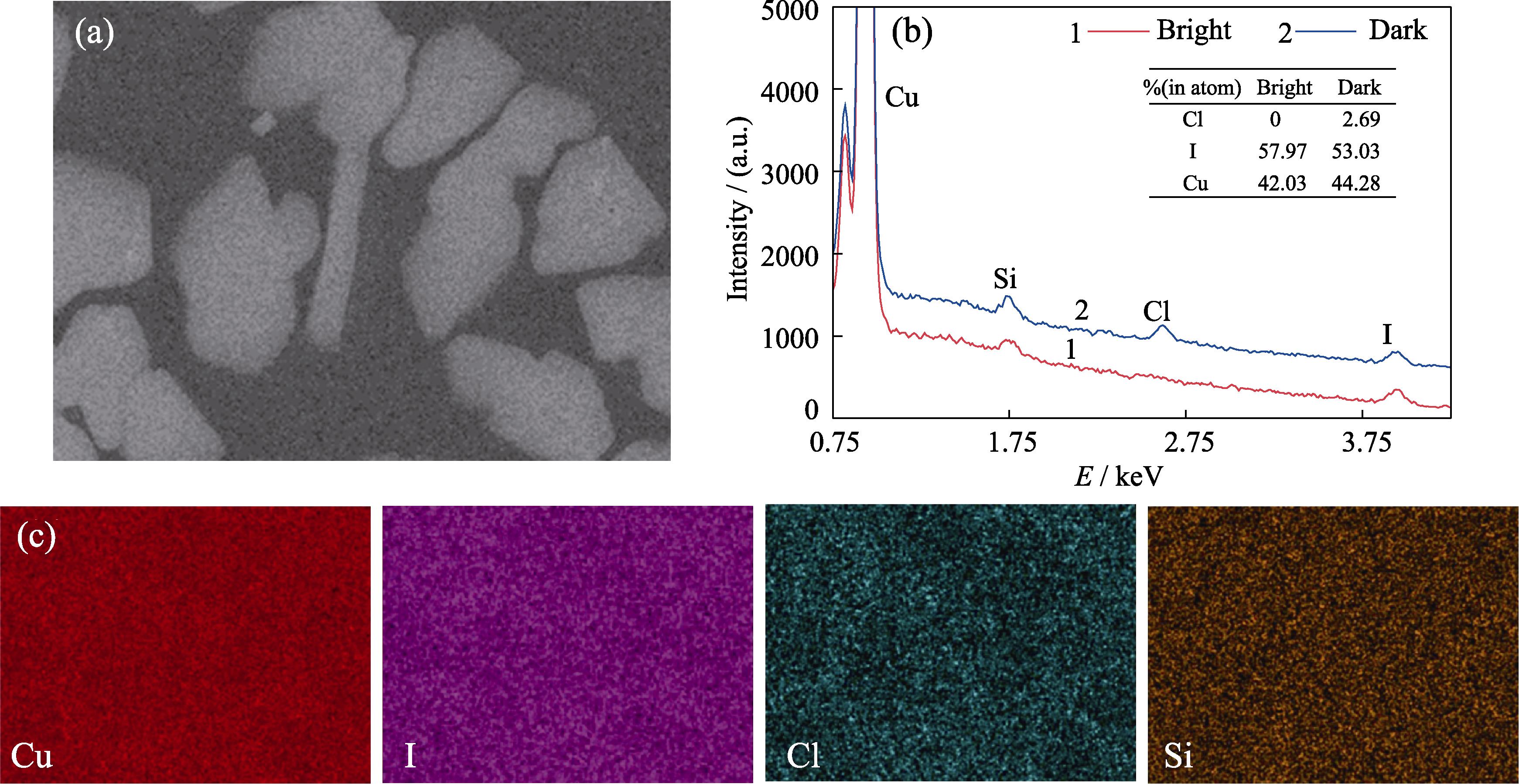 EDS analyses of the Cl-doped CuI thin film(a) SEM image of the mapping area; (b) Typical EDS spectra obtained from the bright region and the dark region; (c) EDS mappings of Cu, I, Cl and Si