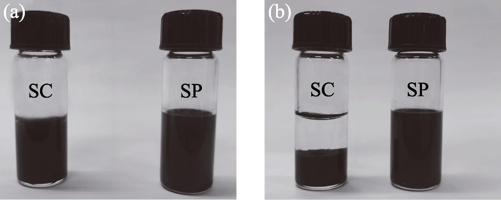 Photographs of NiOx dispersions for (left) spin-coating (SC), for (right) screen-printing (SP) (a) before and (b) after standing for 30 min