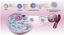pH Responsive Copper-Doped Mesoporous Silica Nanocatalyst for Enhanced Chemo-Chemodynamic Tumor Therapy