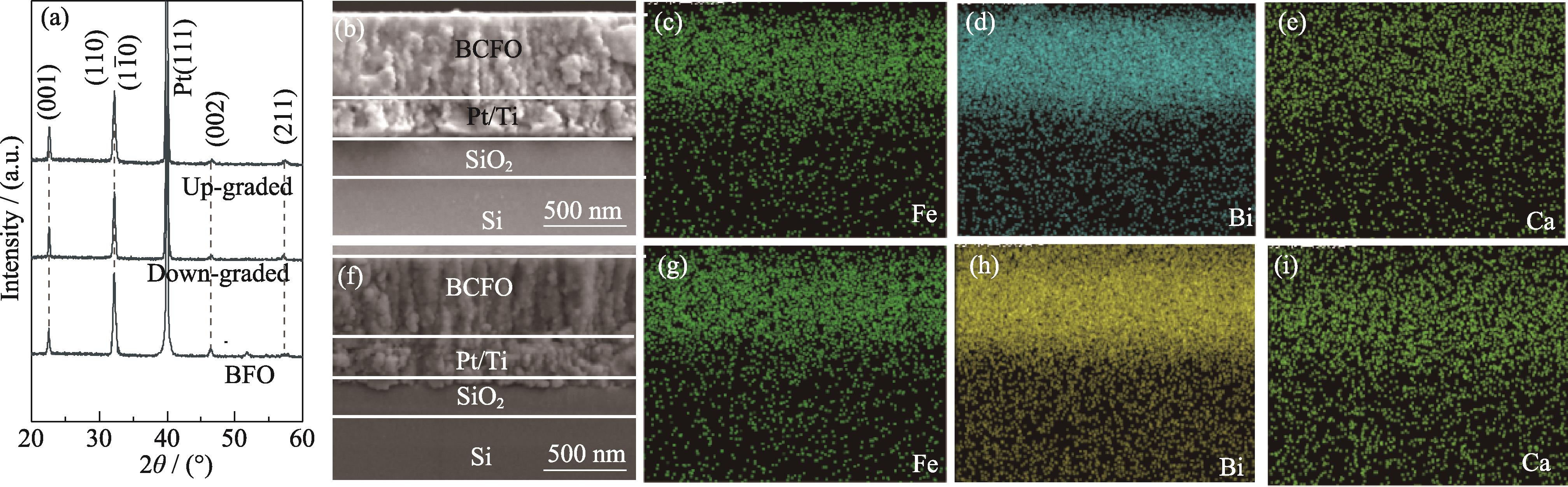 Structures and cross section morphologies of thin films(a) XRD patterns and SEM images of (b) up-graded films and (f) down-graded films. Bismuth, iron and calcium mappings of (c-e) up-graded BFO films and (g-i) down-graded BFO films