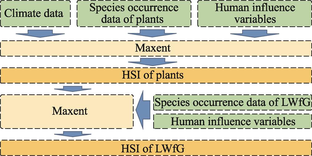 Flow chart of LWfG habitat suitability modeling