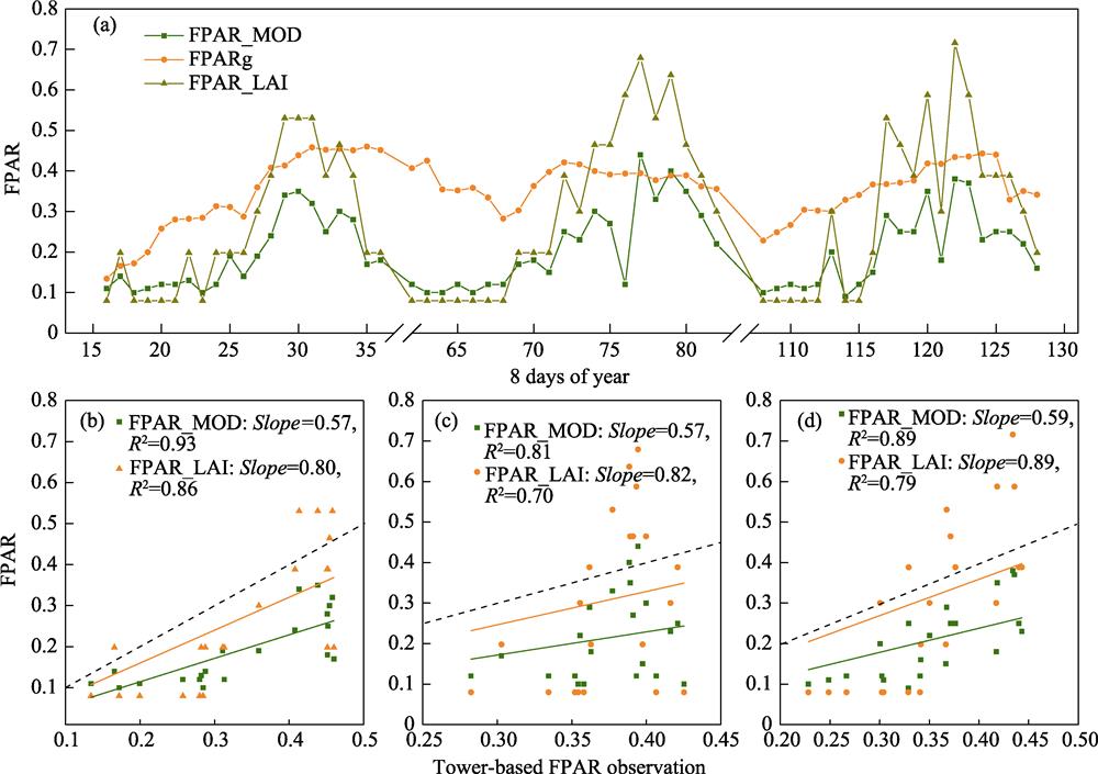 Seasonal patterns of FPAR observations (FPARg) and satellite-based FPAR estimations from 2009 to 2011 (a); and comparison with the FPARg from: 2009 (b); 2010 (c); and 2011 (d). Slope values (Slope) in (b-d) are the linear relationships between FAPRg and satellite-based FPAR estimations, and the dashed lines are the reference lines of 1:1. All linear
