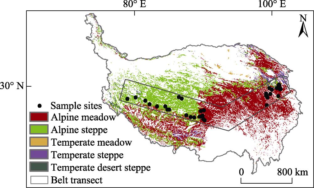 The locations of sampling points in the alpine grassland in Qinghai Province and the northern Tibetan Plateau transect