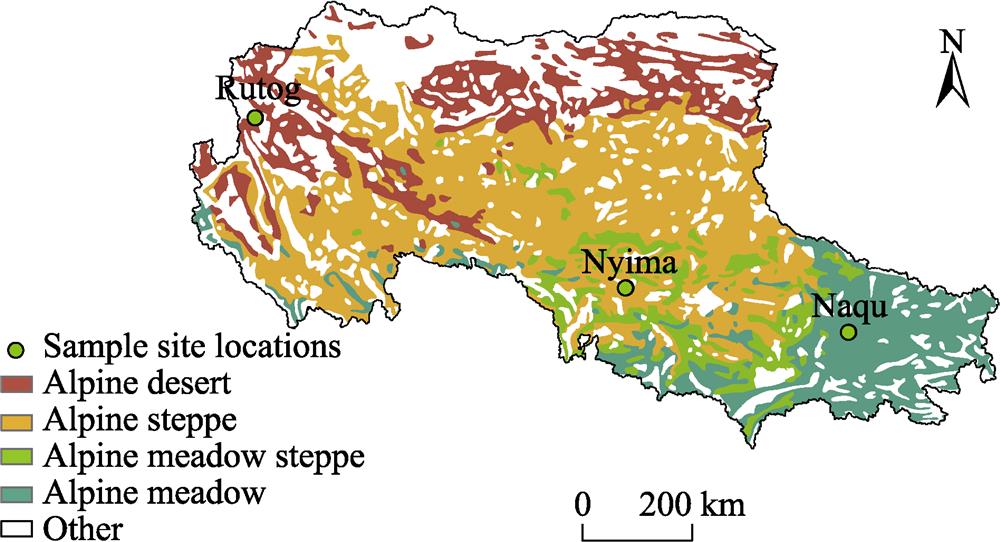 Spatial pattern and sampling points of the three different types of alpine grassland on the northern Tibetan Plateau