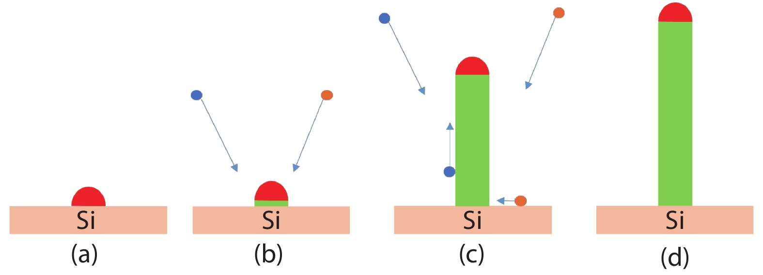 (Color online) (a) Droplet is deposited on the Si substrate. (b) Elements are supplied in the reactor. The adatoms are alloyed with the liquid droplet and, after supersaturation, a monolayer is formed covering the liquid/solid interface. (c) The continuous supply of elements leads to the elongation of the NW. The adatoms reach the droplet either via direct impingement or after diffusion on the substrate and the NW sidewalls. (d) After the supply of elements is terminated, the axial growth stops.