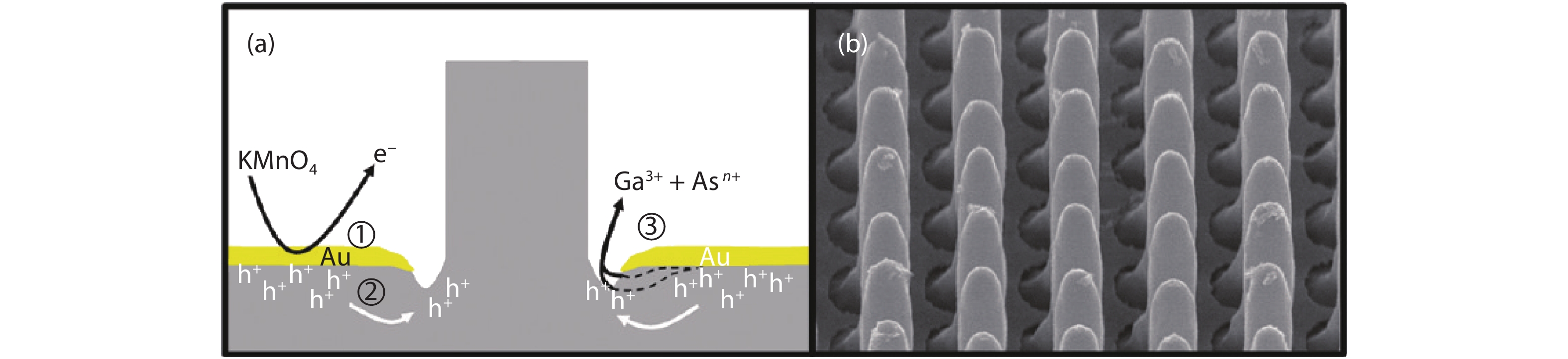 (Color online) (a) Schematic illustrations of the formation mechanism of GaAs NWs. (b) SEM images of high aspect ratio GaAs NW produced from a 600 nm wide square Au mesh pattern in H2SO4 and KMnO4 solution at 40–45 °C. Reprinted from Ref. [9] with permission, Copyright 2011, American Chemical Society.