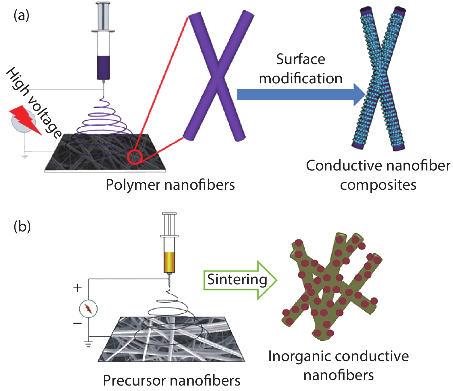 (Color online) (a) Flowchart for preparing conductive nanofibers by surface modification[18]. (b) Flowchart for preparing conductive nanofibers by heat treatment[17].