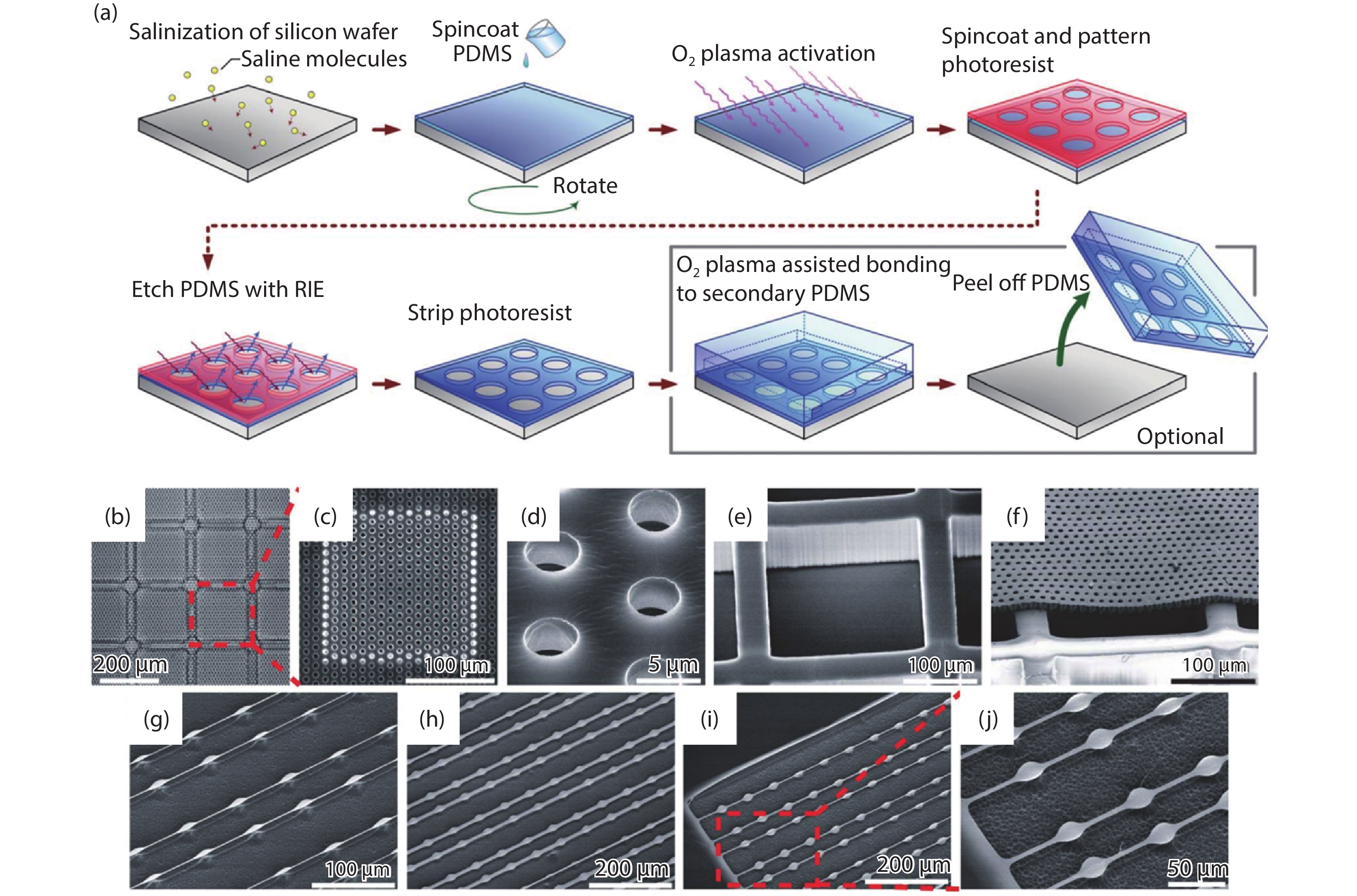 (Color online) Lithographic surface micromachining of PDMS. (a) Schematic illustrations of photolithographic surface micromachining of PDMS. (b–j) Free-standing PDMS microfiltration membranes and beam structures. (b–f) SEM images of the microstructured PDMS membrane bonded to (e) a PDMS support structure. The membrane had a thickness of 10 μm, and it contained an array of hexagonally spaced through-holes (with a hole diameter of 4 μm). (g–j) Free-standing PDMS beam structures on Si wafer substrates, with the beam thickness of 500 nm and a total beam length of 800 μm. The minimum beam widths were (g) 2 μm, (h) 10 μm, and (i, j) 5 μm, respectively. (Reprinted from Ref. [51]. Copyright 2012 The Royal Society of Chemistry.)