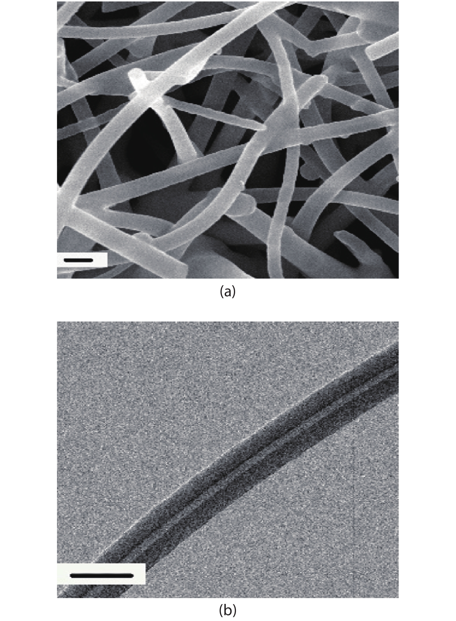 Structure characterization of the CNFs. (a) Image of the CNFs under the SEM. (b) Image of the CNFs under the TEM. (Reproduced with permission from Ref. [15].)