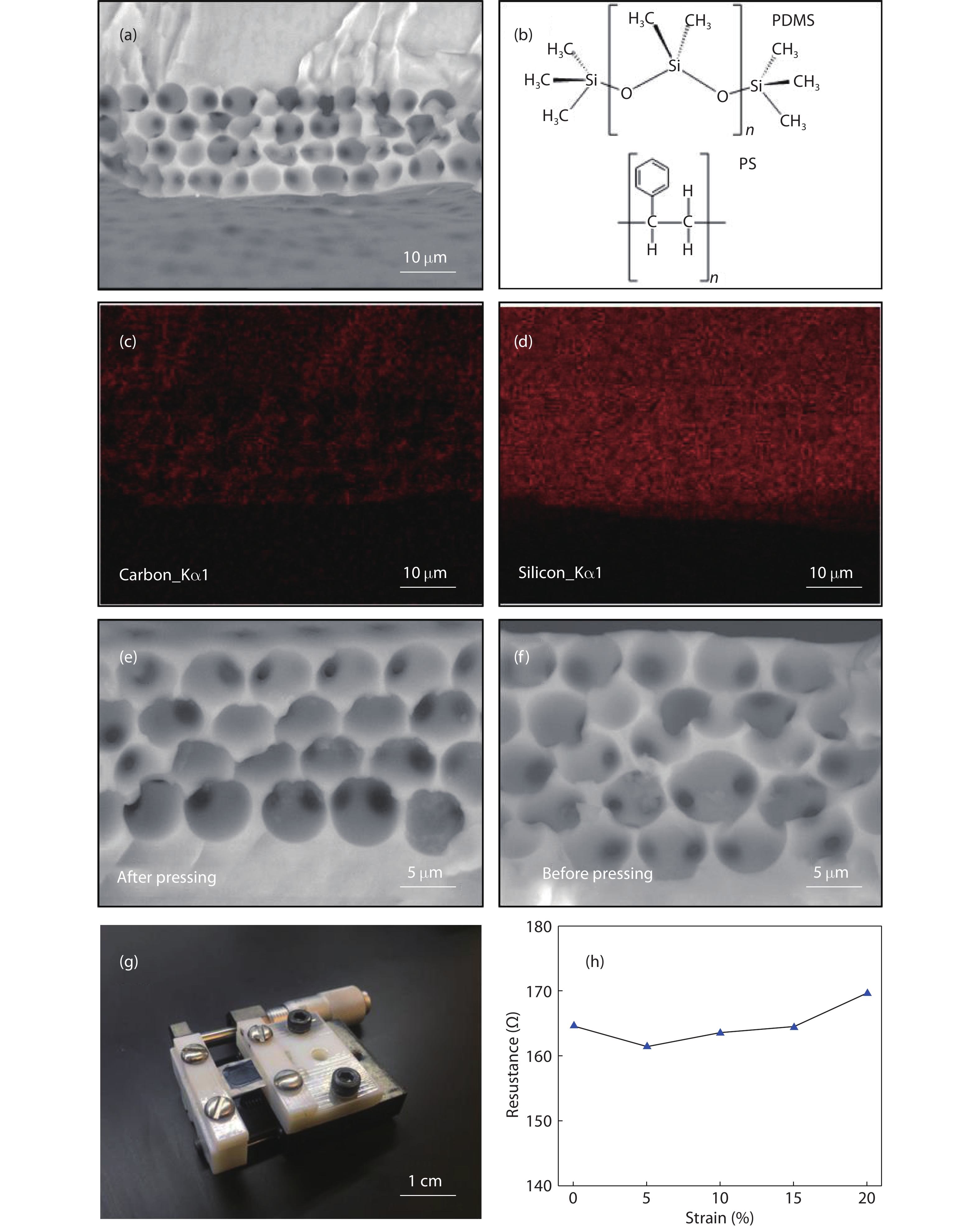 (Color online) (a) SEM image of porous PDMS structure examined in EDX (b) structural formula of polydimethylsiloxane (PDMS) and polystyrene (PS). Energy dispersive X-ray analysis (EDX) images of (c) carbon element and (d) silicon element of porous PDMS structure. SEM images of porous PDMS structure (e) after compressive pressure (f) before compressive pressure. (g) Photograph of the stretching test setup. (h) Resistance change of the screen-printed PEDOT:PSS electrode under various levels of applied strain.