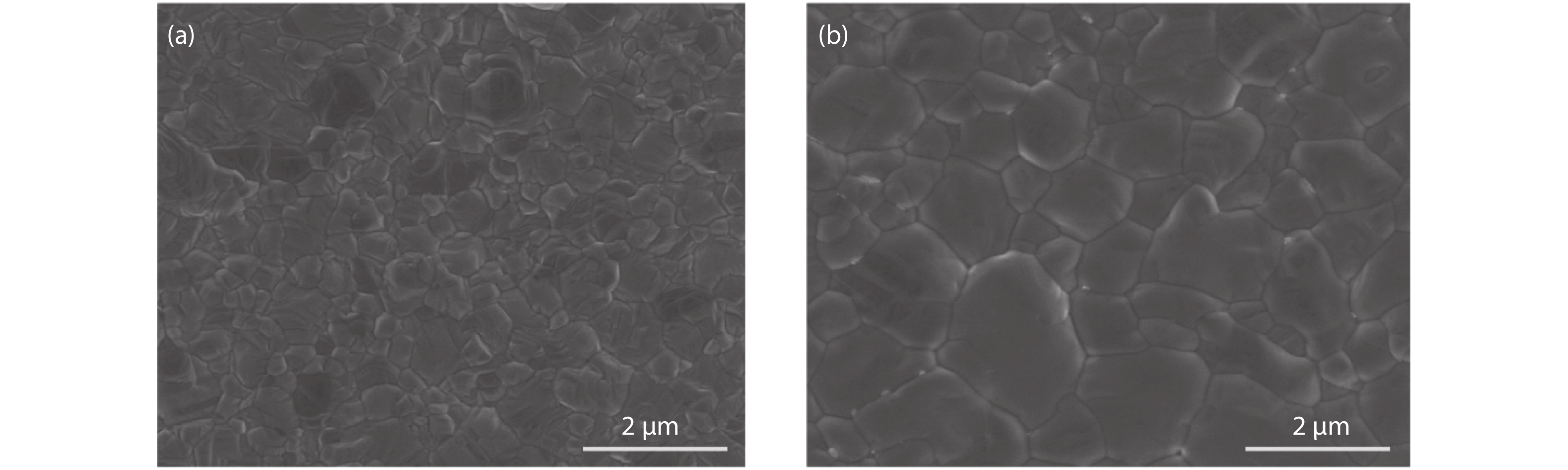 The morphology of perovskite films with and without Cd doping.