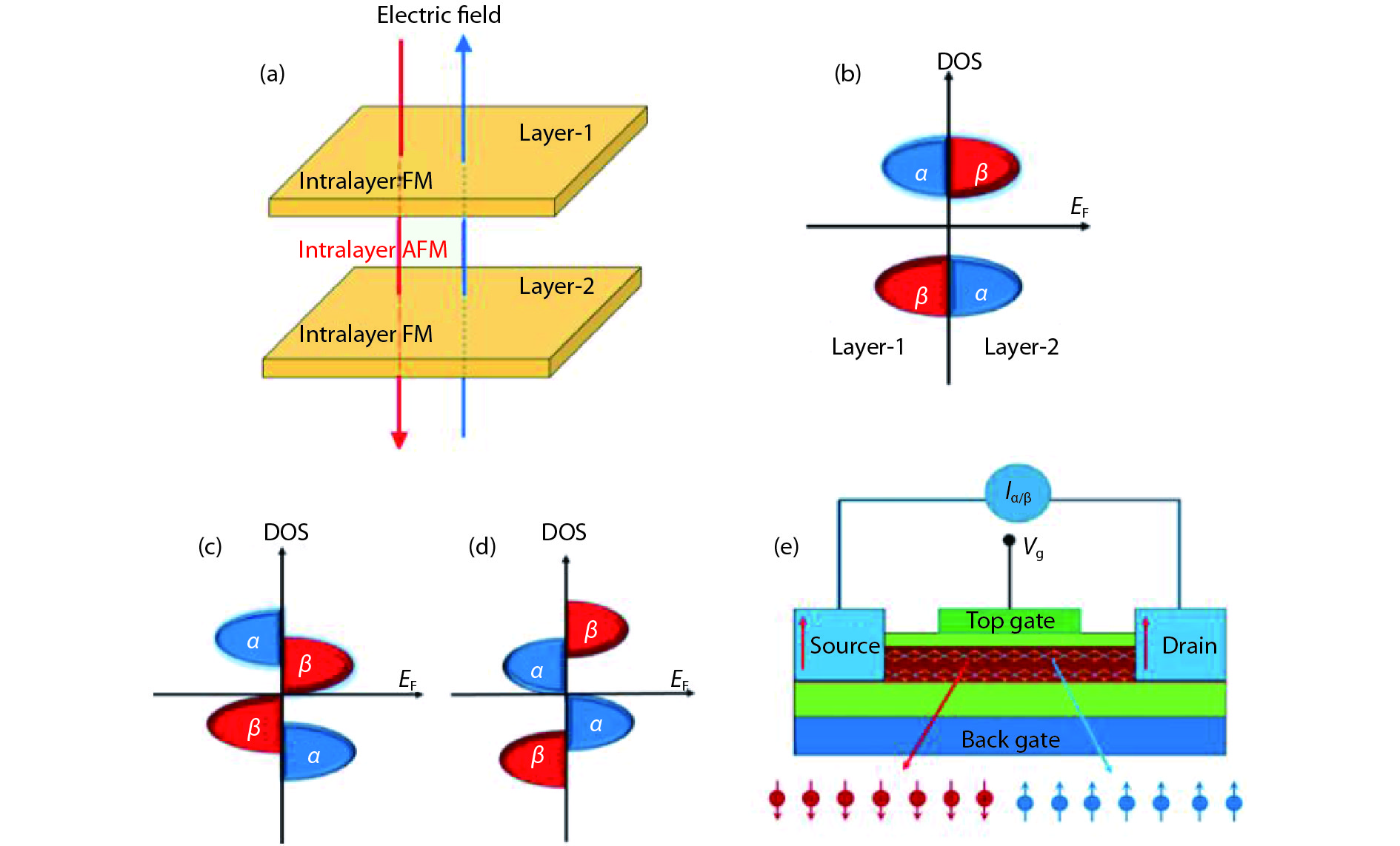 (Color online) (a) Schematic view of the A-type antiferromagnetic bilayer system with the perpendicular electric field shown in blue (positve) and red (negative). (b−d) The schematic spin- and layer-resolved density of states of the A-type antiferromagnetic bilayer system with the electric field normal to the van der Waals plane (b) E = 0 and (c) (d) E = Ec (Ec is the critical electric field for the emergence of half metallicity), in which 1-α(β) and 2-α(β) indicate the spin-α(β) channel in layer 1 and layer 2, respectively. The positive(negative) electric field induces the spin-α(β) electrons around the Fermi level. (e) The proposed spin field effect transistor model, in which the spin states in the channel are tuned by the gate voltage[2].