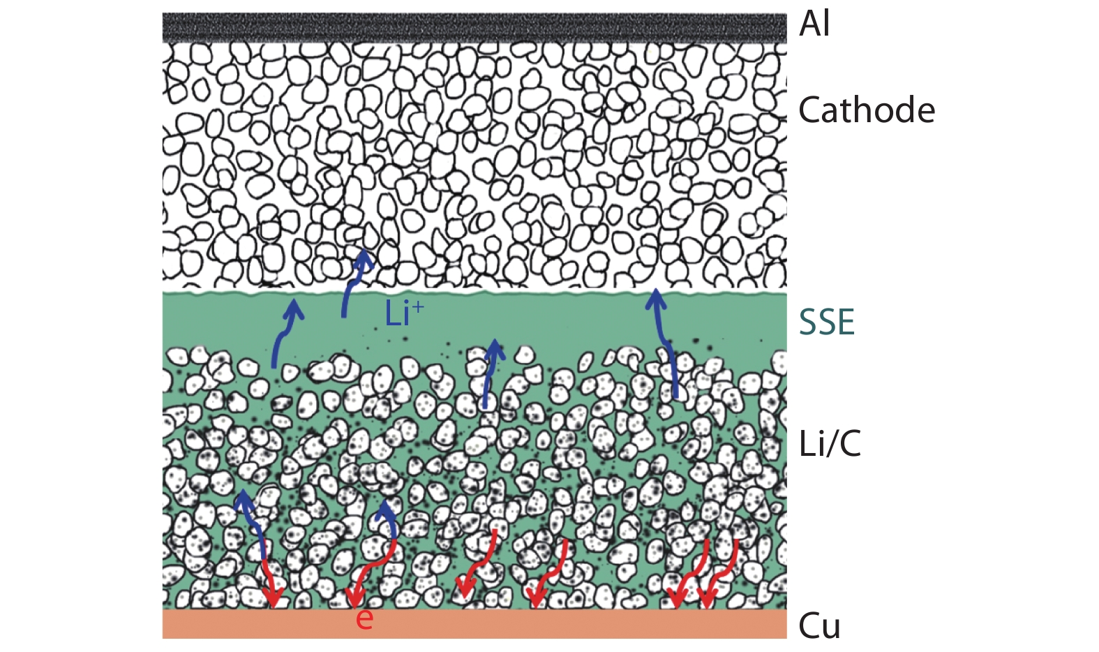 (Color online) Li/C composites as ideal anodes in the Li batteries with solid state electrolytes (denoted SSE). Note that the cathode material is not discussed here and the cell is demonstrated at a discharge state.