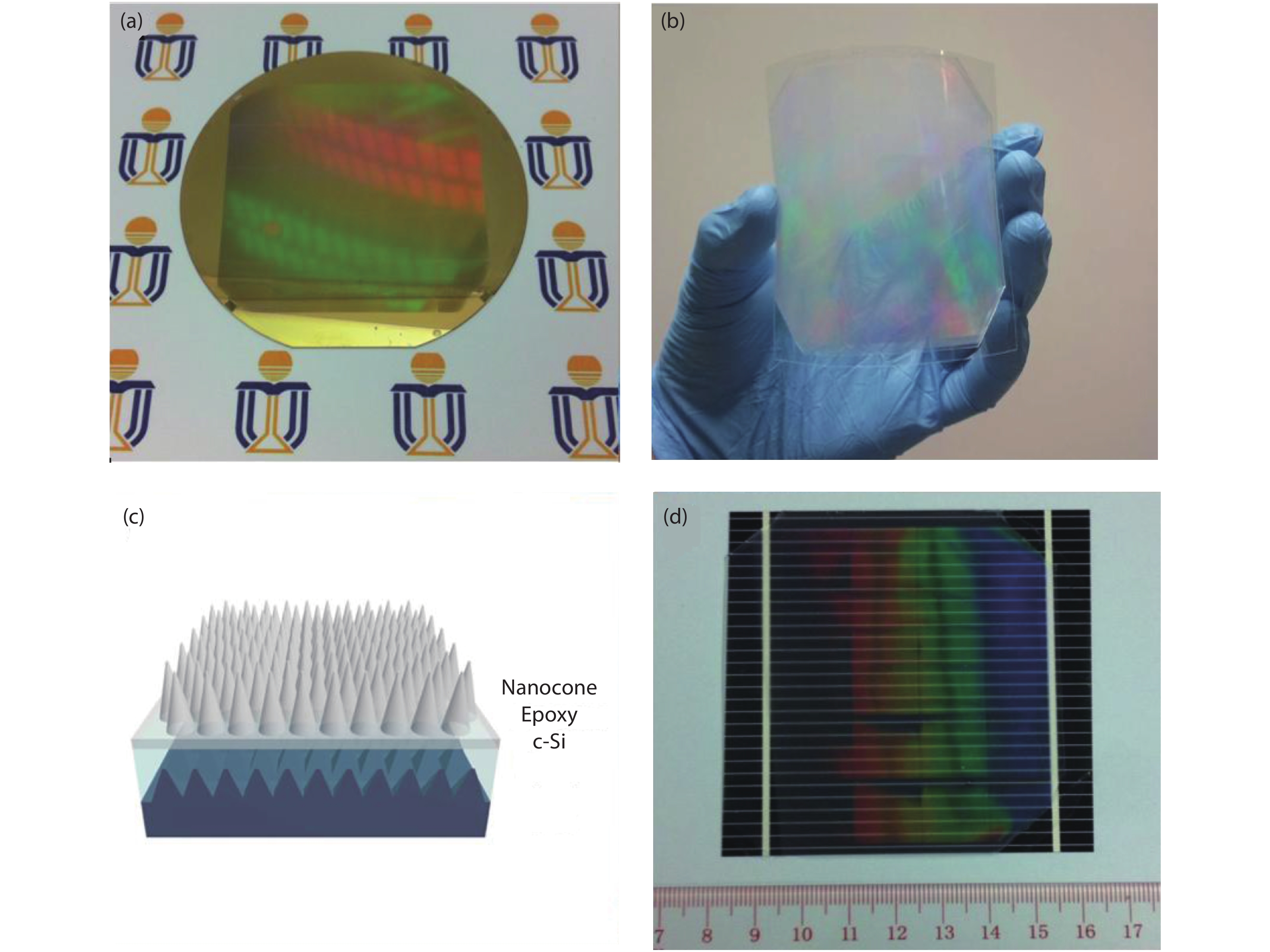 (Color online) (a) The photograph of 4-inch Au-coated mold. (b) The photograph of flexible AR film attached on polycarbonate film. (c) Schematic diagram of the c-Si solar cell device with nanocone AR film attached on the top. (d) Real 8 cm by 8 cm AR film attached on c-Si device.
