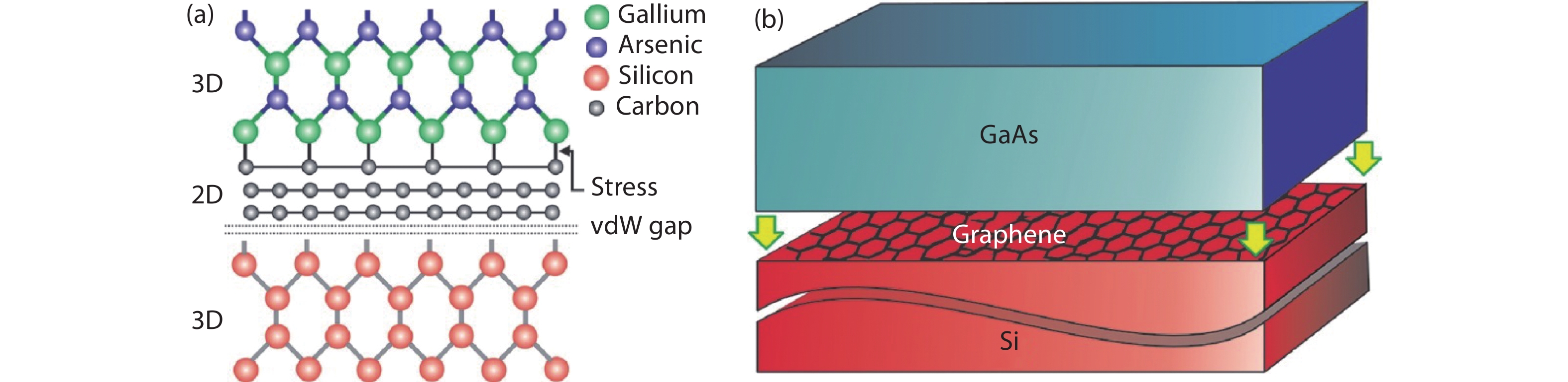 (Color online) (a) Schematic atomic geometry and (b) schematic epitaxial structure of GaAs thin film on graphene-coated Si substrate[3].