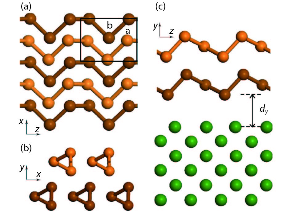 (Color online) (a) Top-view and (b) side-view of bilayer (BL) tellurene structure. Brown balls represent the contact layer while the orange ones represent the noncontact layer. (c) Schematic diagram of the interface when the BL tellurene atoms contact with metal surface. Green balls stand for the contacting metal atoms.