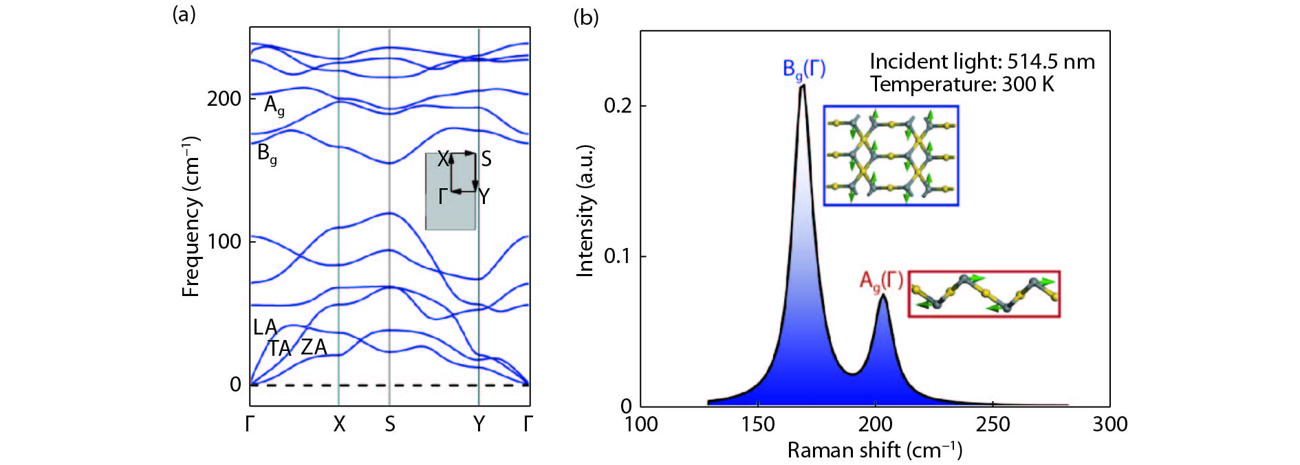 (Color online) (a) Phonon spectrum of AuSe monolayer. (b) Simulation spectrum of Raman shift with exciting wavelength of 514.5 nm at 300 K and corresponding schematic diagram of vibration modes (inset).