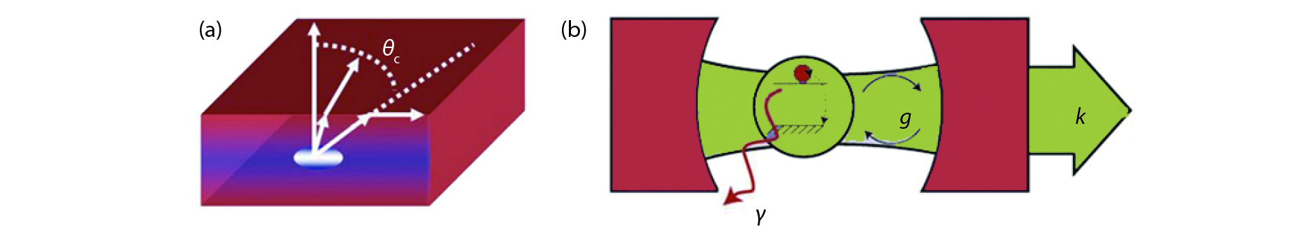 (Color online) Schematic diagram of (a) inward total reflective angle and (b) the interaction between atom and microcavity[75].