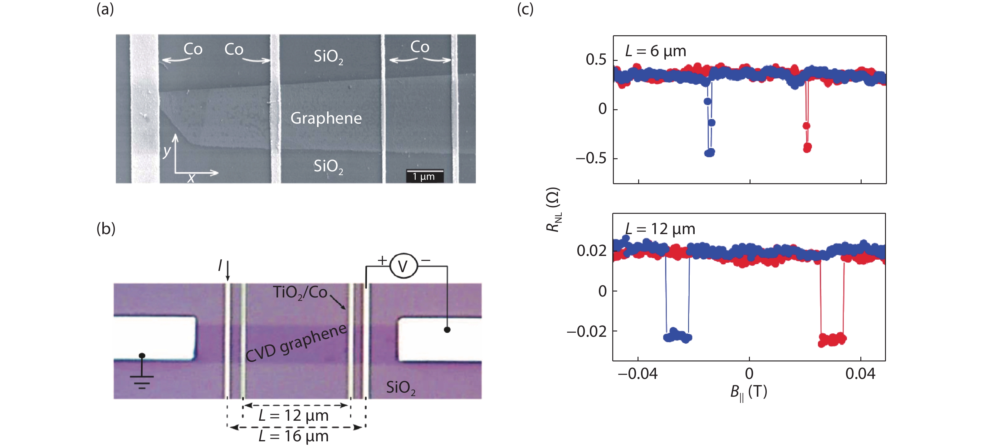 (Color online) (a, b) Typical spin valve devices made of graphene[33, 34]. (c) The performance of non-local magneto-resistance for CVD graphene spin valve with different channel lengths[34].