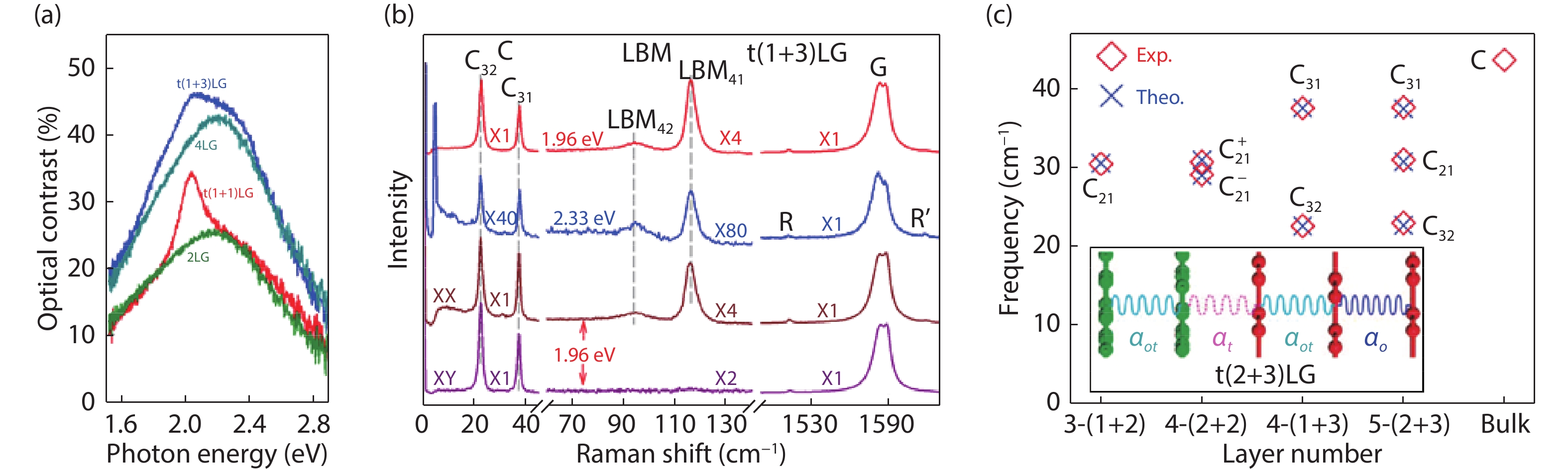 (Color online) (a) Optical contrast of a flake comprising a t(1+1)LG and a t(1+3)LG[7]. (b) Raman spectra in the spectral range of the C, LB and G modes for t(1+3)LG. Polarized Raman spectra are also shown to identify the C and LB modes[8]. (c) Experimental (Exp., open diamonds) and theoretical (Theo., crosses) (C) in t(m + n)LGs. The insert shows a schematic diagram of a linear chain model for t(2+3)LG including a bulk-like interlayer force constant , interfacial force constant and the force constant for the layers adjacent to the interface[7].