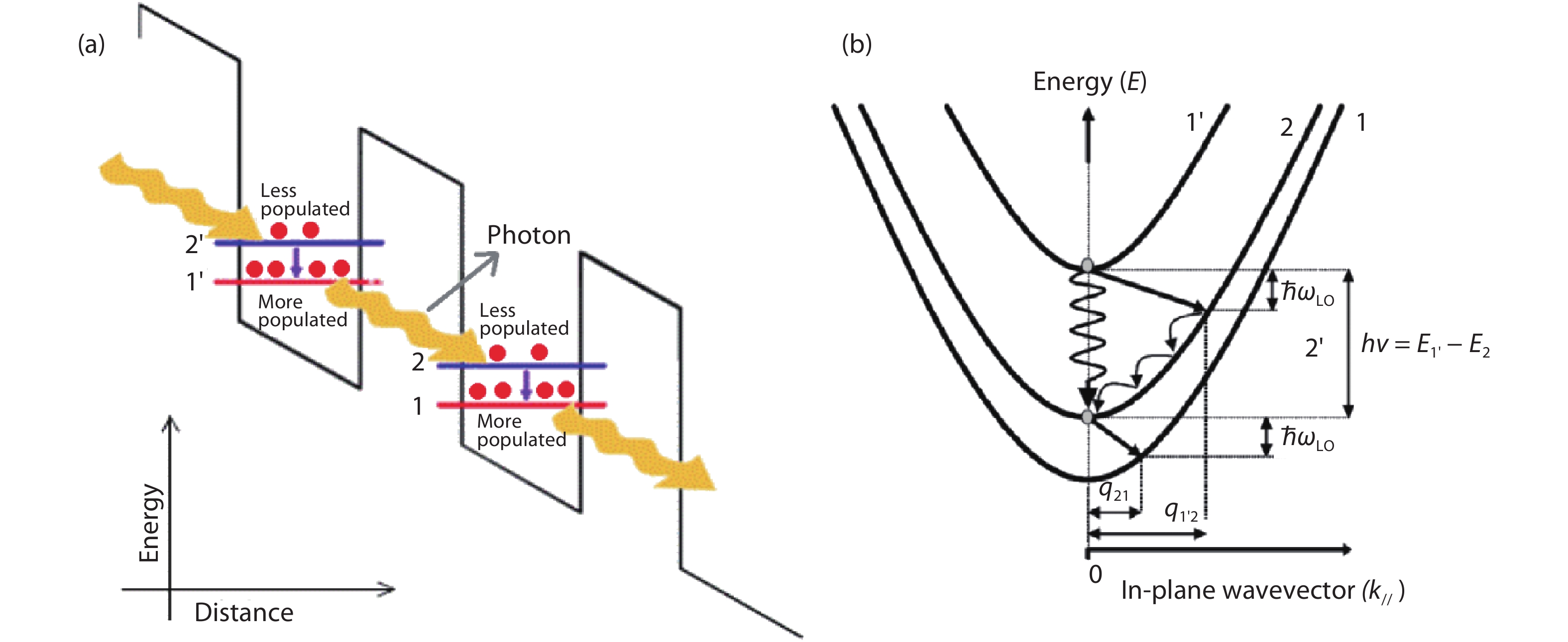(Color online) (a) Basic four-level system for intersubband lasers and (b) fast LO-phonon scattering process between and in subbands.