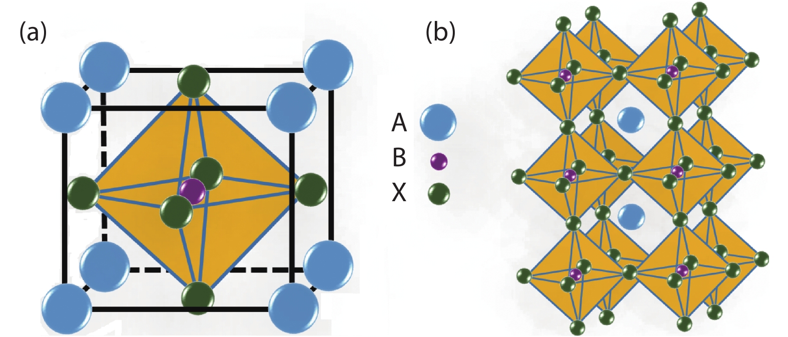 (Color online) (a) Schematic structure of cubic ABX3 perovskite unit cell, and (b) the extended tridimensional structure of perovskites formed by the corner-linked octahedral.