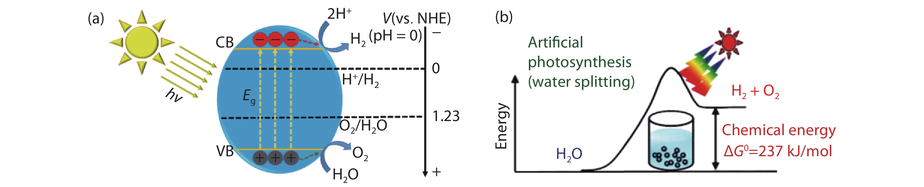 (Color online) Schematic illustration of the basic reaction mechanism of the overall water splitting on a semiconductor (a), and uphill reaction process of photocatalytic water splitting (b). Reprinted from Ref. [44].