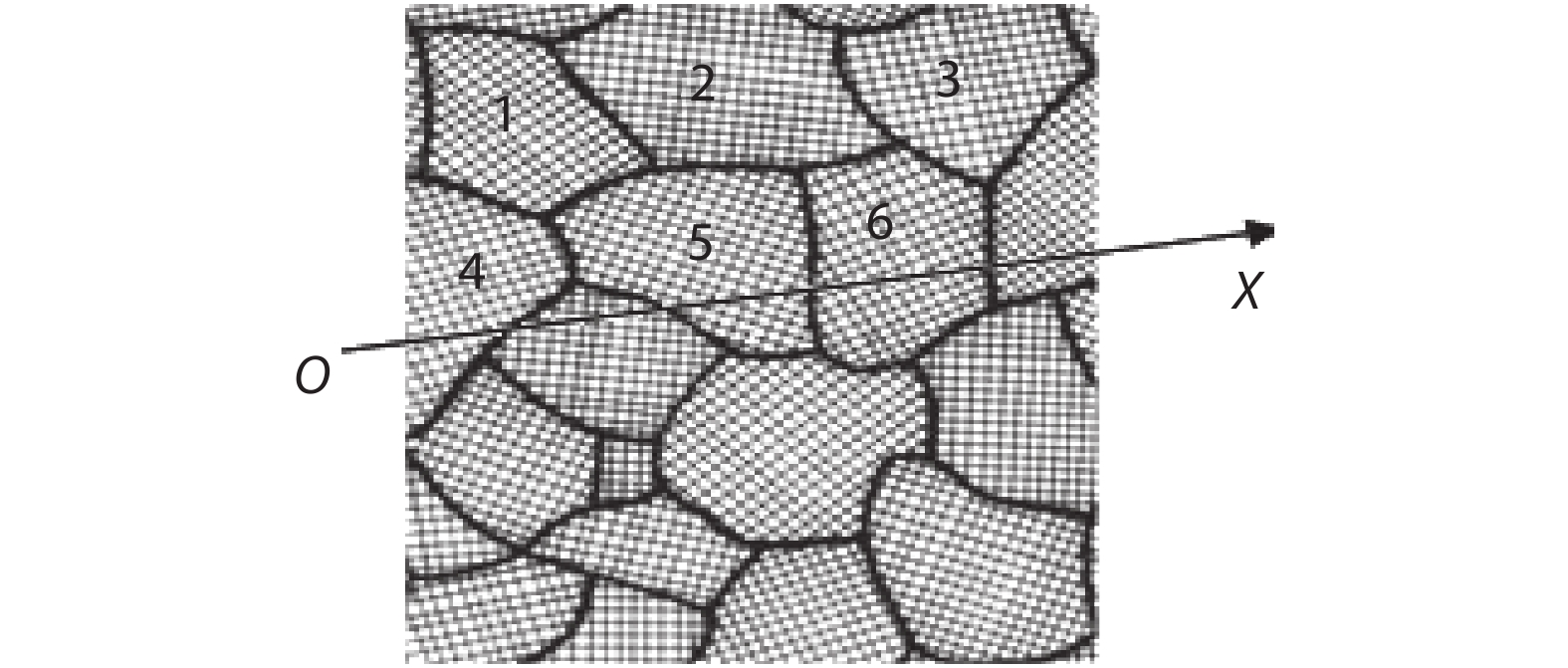 Microstructure of the surface of a polycrystalline metal.