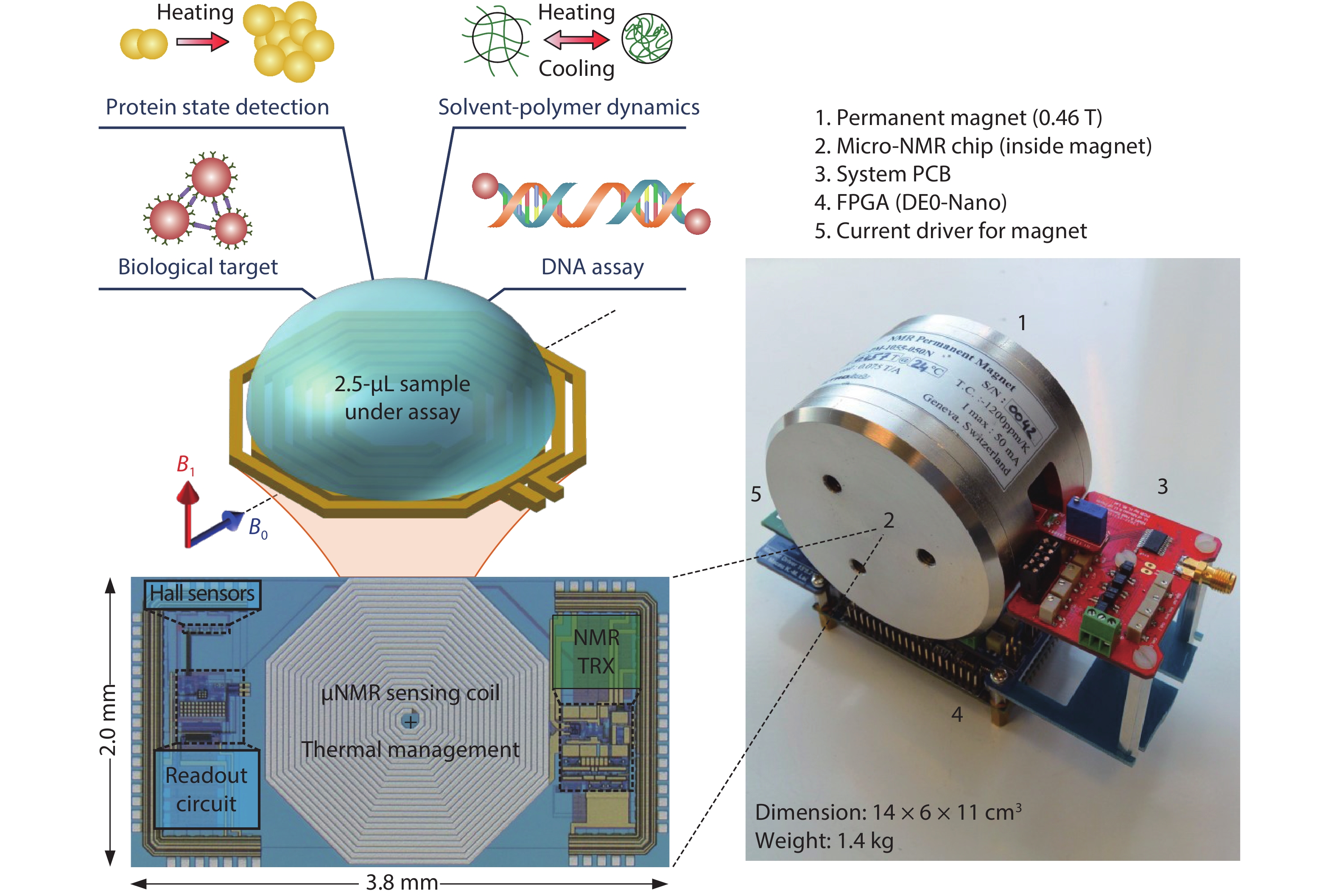 (Color online) A handheld NMR CMOS platform: (left) chip photo and its applications for multi-type assays, and (right) platform assembly. Courtesy K.M. Lei ISSCC 2016.