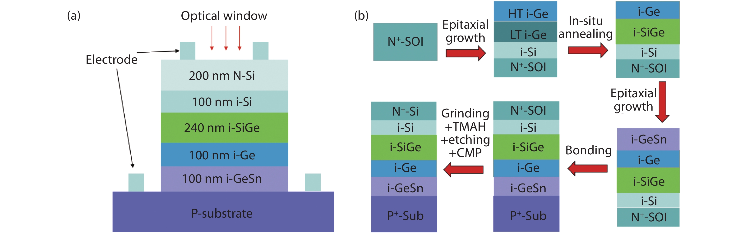 (Color online) (a) Schematic cross-section of the Si/graded-SiGe/Ge/Ge0.9Sn0.1 p–i–n photodetector. The mesa size is 32 µm in diameter. (b) Schematic of epitaxial growth and layer transfer technique for this p–i–n structure fabrication.