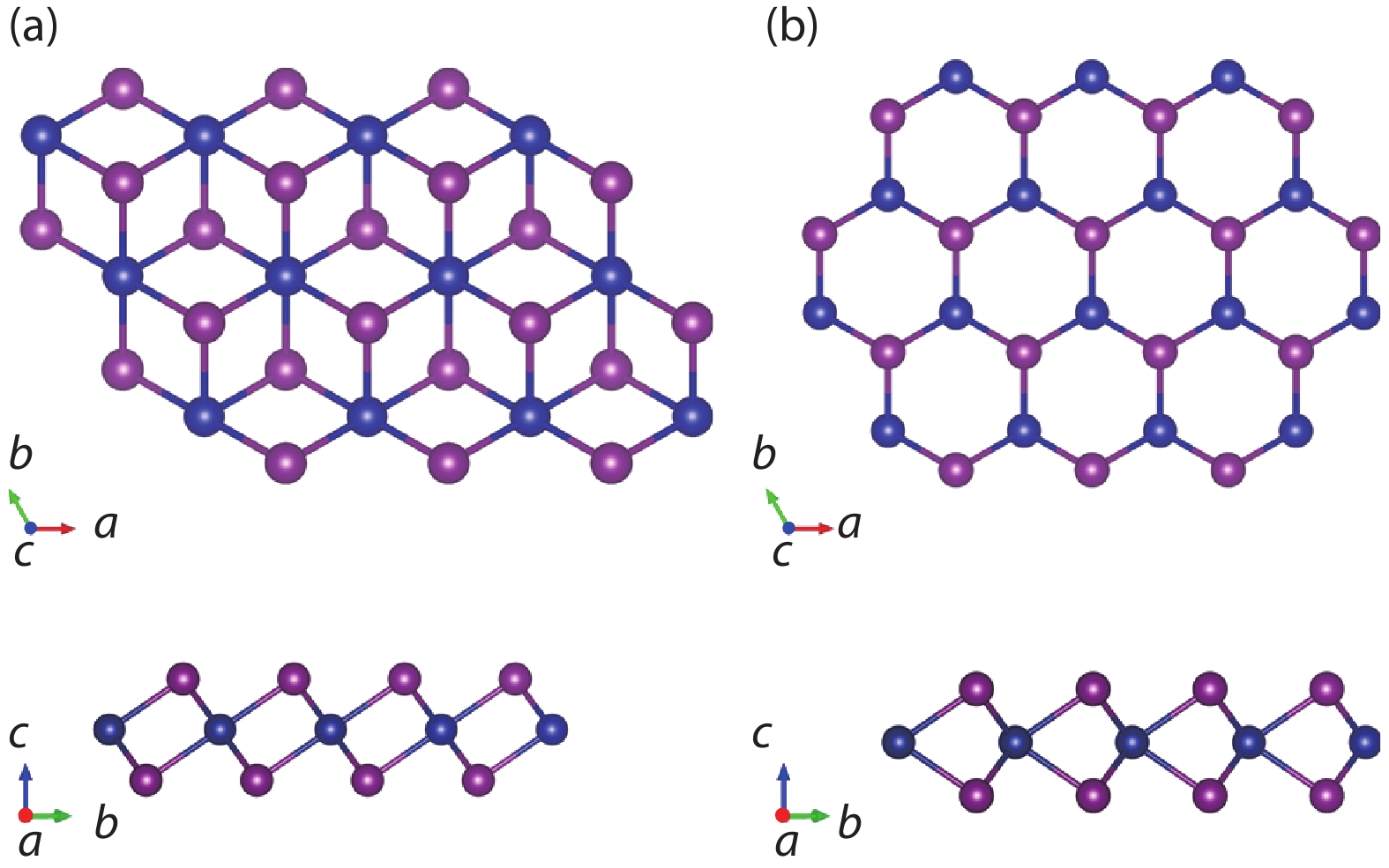 (Color online) (a) 1T and (b) 2H phases of CrI2 monolayers. The chromium and iodine atoms are illustrated with blue and purple spheres, respectively.