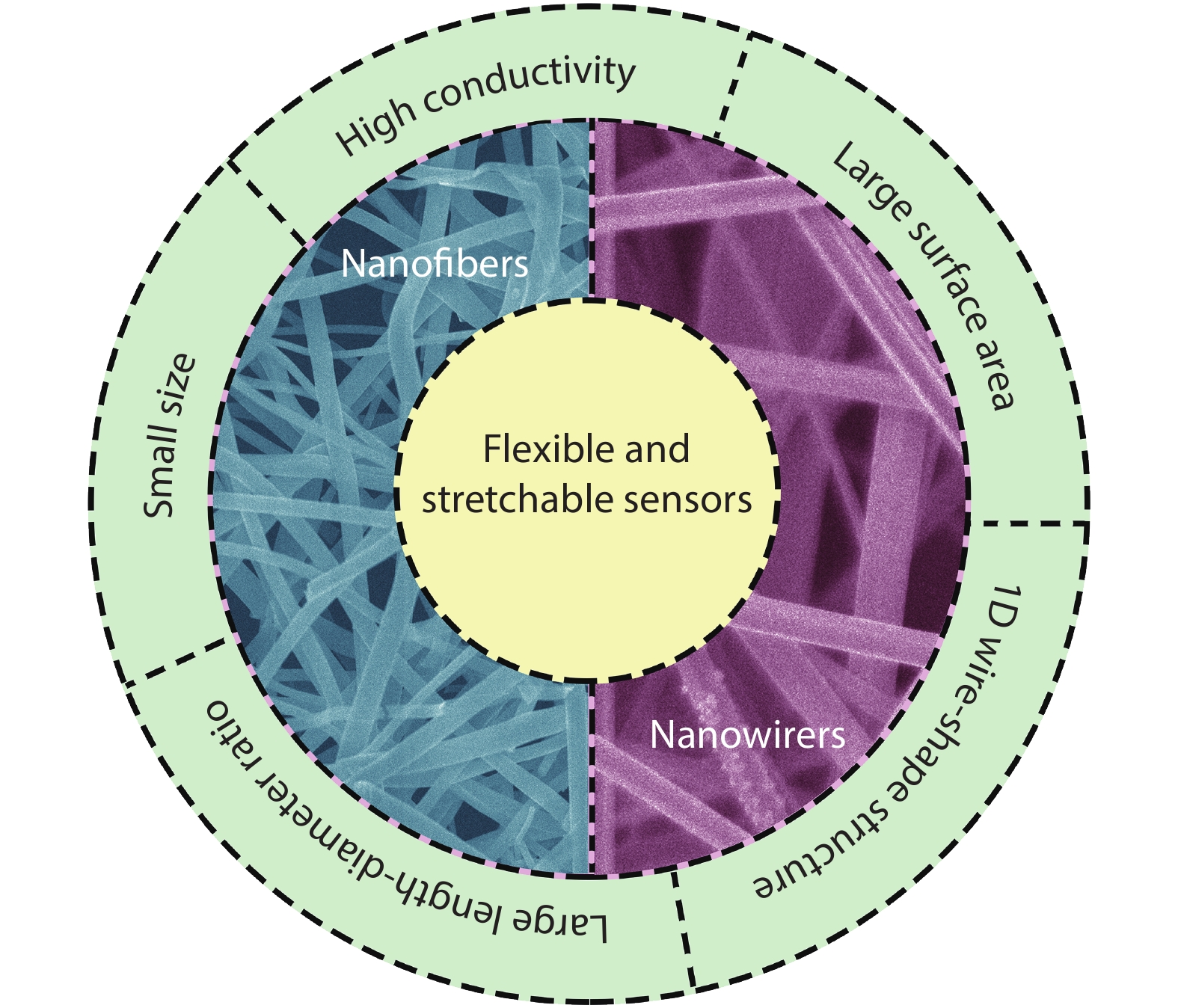 (Color online) Schematic of nanofibers/nanowires-based flexible and stretchable sensors.