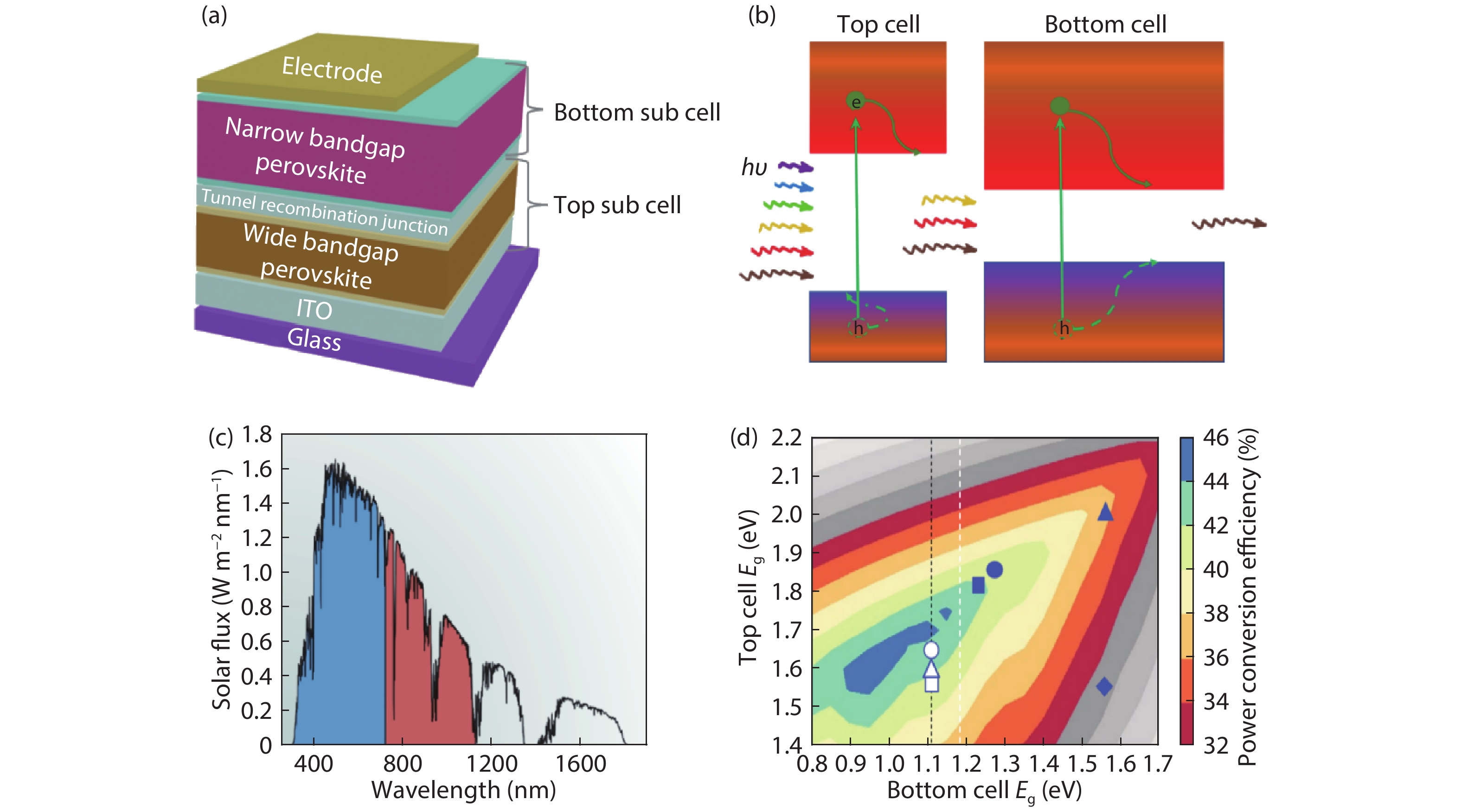 (Color online) (a) Schematic structure of monolithic all-perovskite tandem solar cells. (b) Absorption of different wavelengths of light by different bandgap subcells. (c) Solar irradiance spectrum showing the spectral regions over which the two semiconductors could absorb. Reproduced with permission[56]. (d) Theoretical efficiency limit for monolithic all-perovskite tandem solar cells, calculated with different subcell thicknesses, each picked to optimize the performance for each bandgap combination. Reproduced with permission[23].