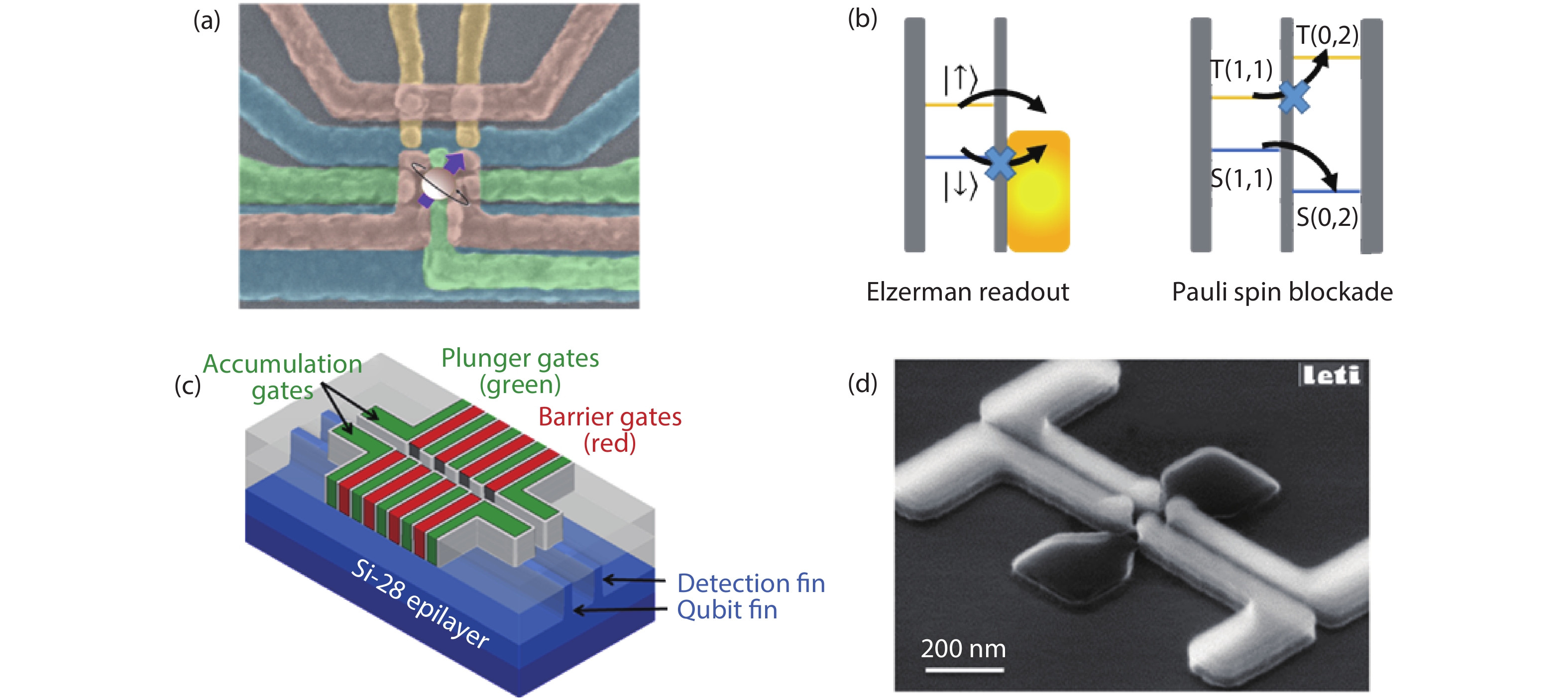(Color online) (a) False-color scanning electron microscopy (SEM) image of an overlapping-gate Si QD. (b) Energy level arrangement for Elezerman readout and Pauli spin blockade readout. (c) Dual nested gate integration of Si QDs using fin field-effect transistor (FinFET) technology. (d) SEM image of a two dimensional array of Si QDs using fully-depleted silicon-on-insulator transistor (FD-SOI) technology.