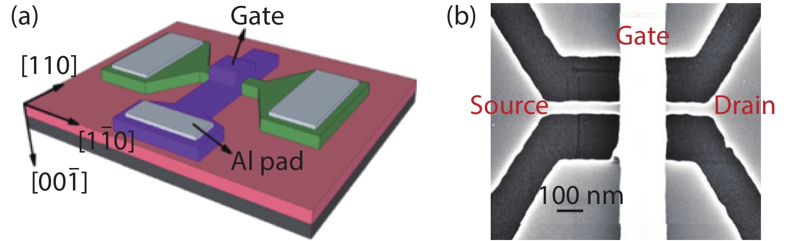 (Color online) (a) Schematic structure of the silicon JNT. (b) Top-view SEM images of the silicon JNT after gate formation.
