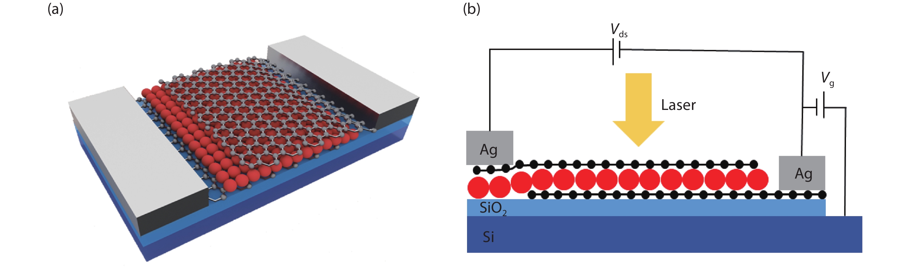 (Color online) Device schematic. (a) Device with three-layer structure of graphene/CdSe QDs/graphene, silver as the electrodes on each graphene. (b) Circuit connection diagram of the devices.