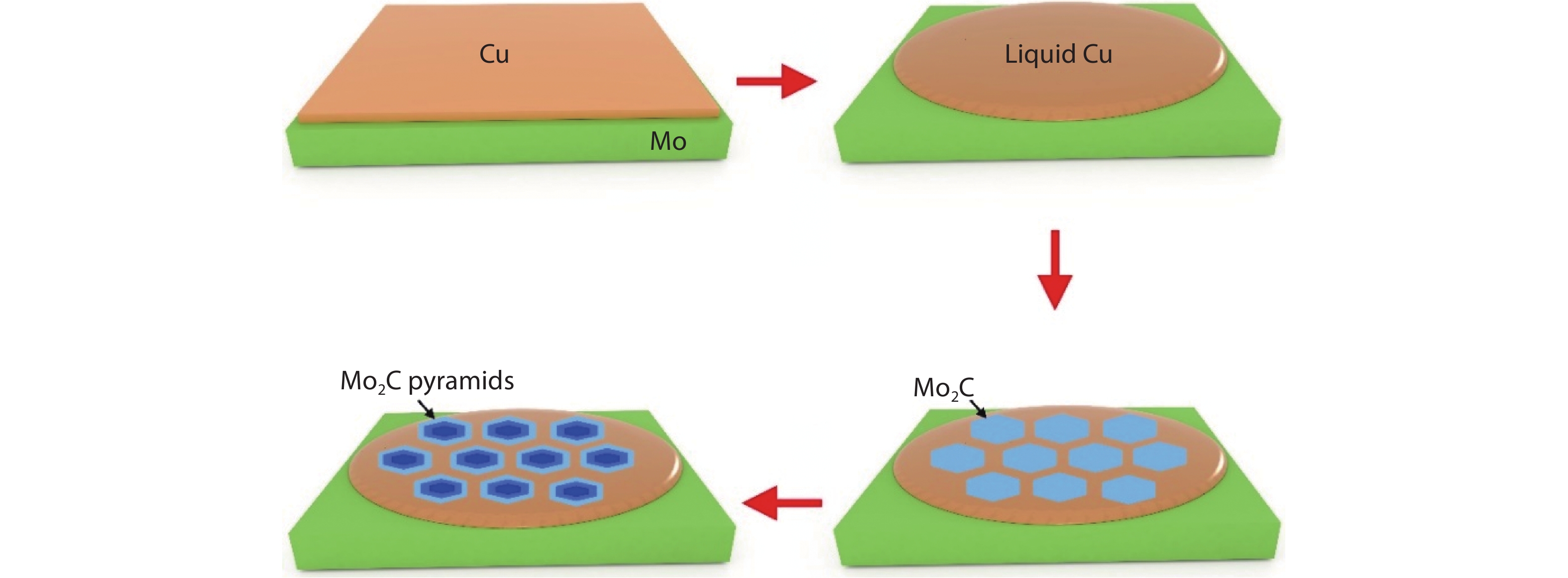 (Color online) Schematic showing the growth of Mo2C pyramids on liquid Cu substrate.