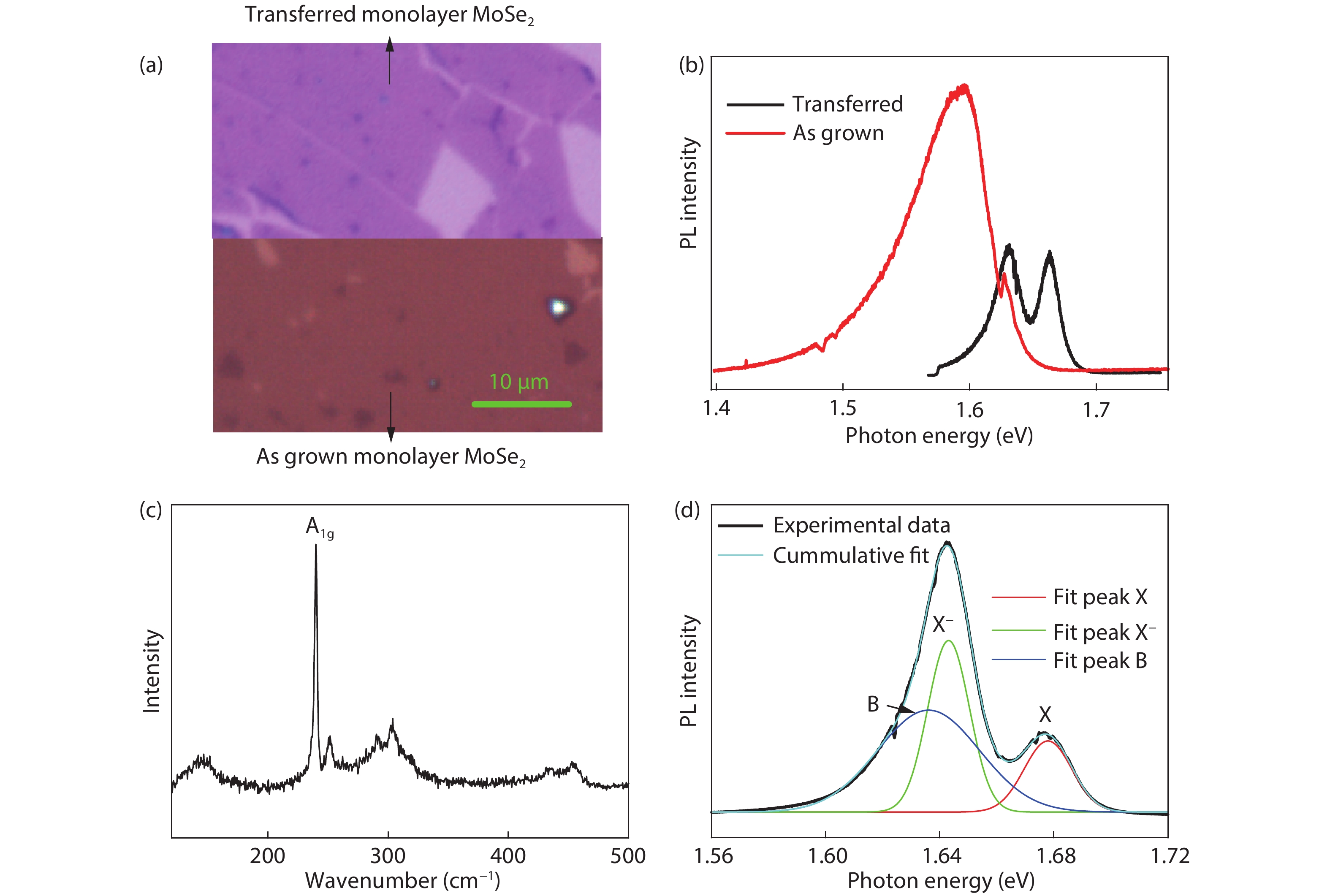(Color online) (a) Micrograph of transferred monolayer MoSe2 sample (upper part) and as grown monolayer MoSe2 sample (lower part). (b) PL spectra of monolayer MoSe2 measured at 6 K for as grown (red line) and after transferring to a SiO2/Si substrate (black line). (c) Raman spectrum of the transferred sample. (d) PL spectrum of the transferred monolayer MoSe2 measured at an excitation power of 872 μW. The curve can be fitted by using three Gauss functions.