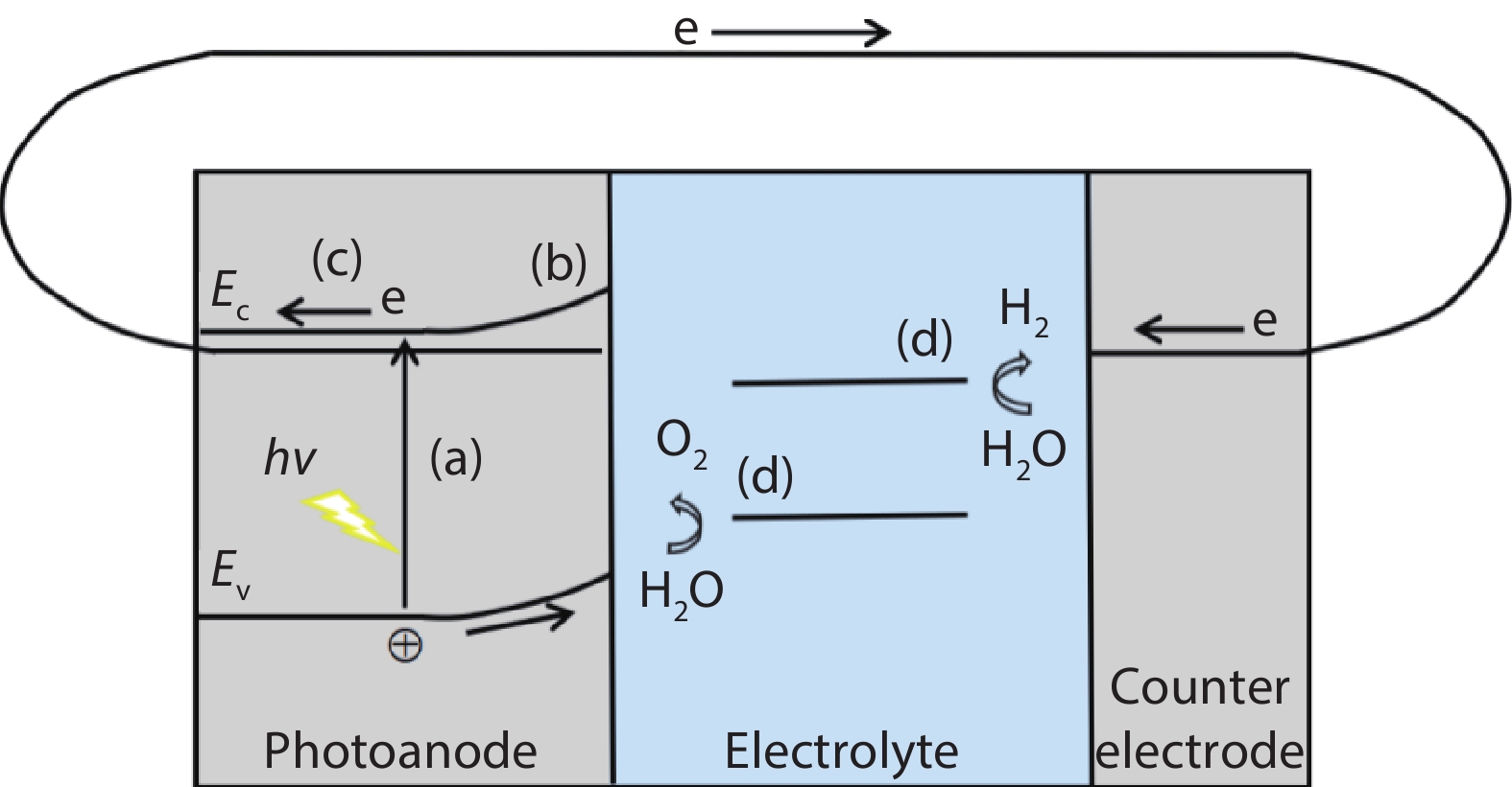 (Color online) Main processes of PEC water splitting for n-type semiconductors.