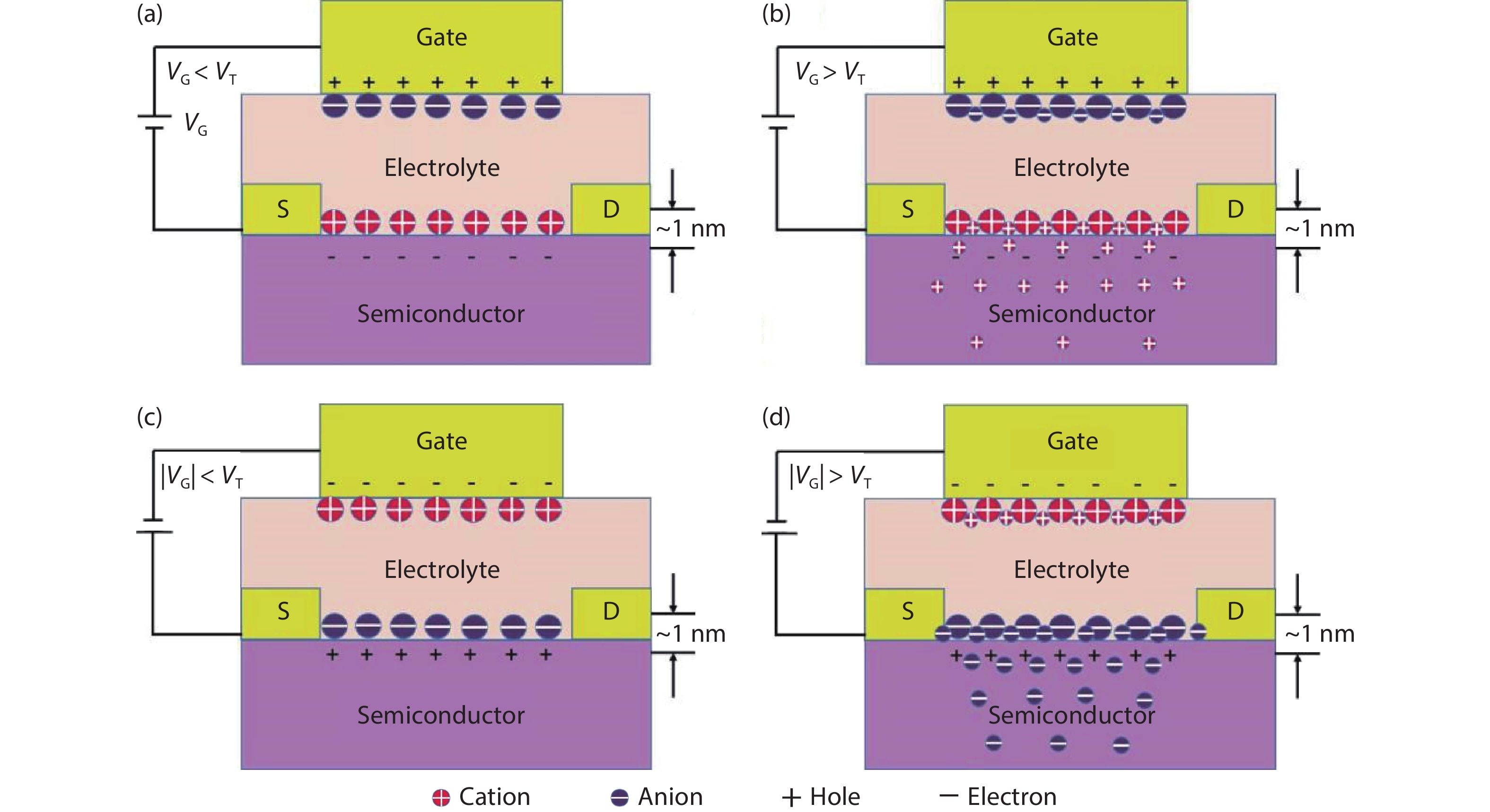 (Color online) Schematic of the electrolyte-gated transistor operation mechanisms. (a, c) Quasi-static FET operation and (b, d) electrochemical transistors operation. (a) When a positive VG VT is applied, an EDL is formed at the electrolyte/semiconductor interface (electron doping). (b) When a positive VG > VT is applied, an EDL is formed at the electrolyte/semiconductor interface, but some cations can intercalate into the semiconductor (electrochemical doping). (c) When a negative VG VT is applied, an EDL is formed at the electrolyte/semiconductor interface (hole doping). (d) When a negative VG > VT is applied, an EDL is formed at the electrolyte/semiconductor interface but some anions can intercalate into the semiconductor (electrochemical doping).