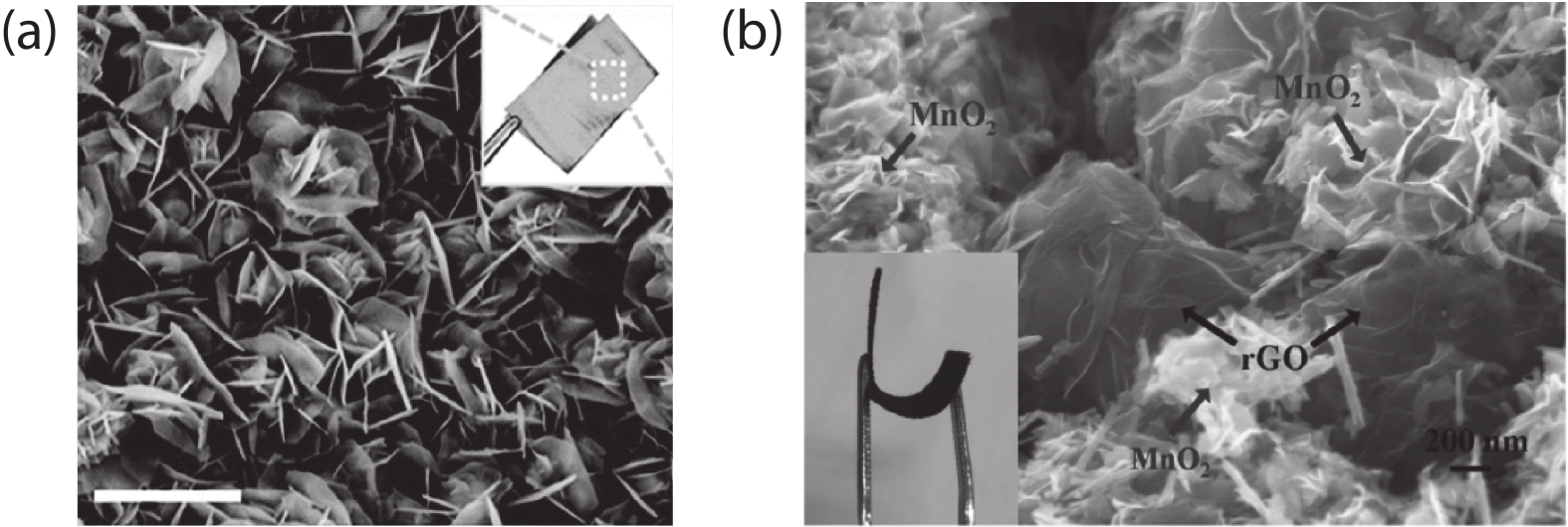 (a) SEM image of the zinc anode by electrically depositing onto a carbon cloth. Adopted with permission from Ref. [18], Copyright 2019, Royal Society of Chemistry. (b) SEM image and the photographs (the inset) of the MnO2/rGO sample on carbon cloth. Adopted with permission from Ref. [19], Copyright 2018, Nature Publishing Group.