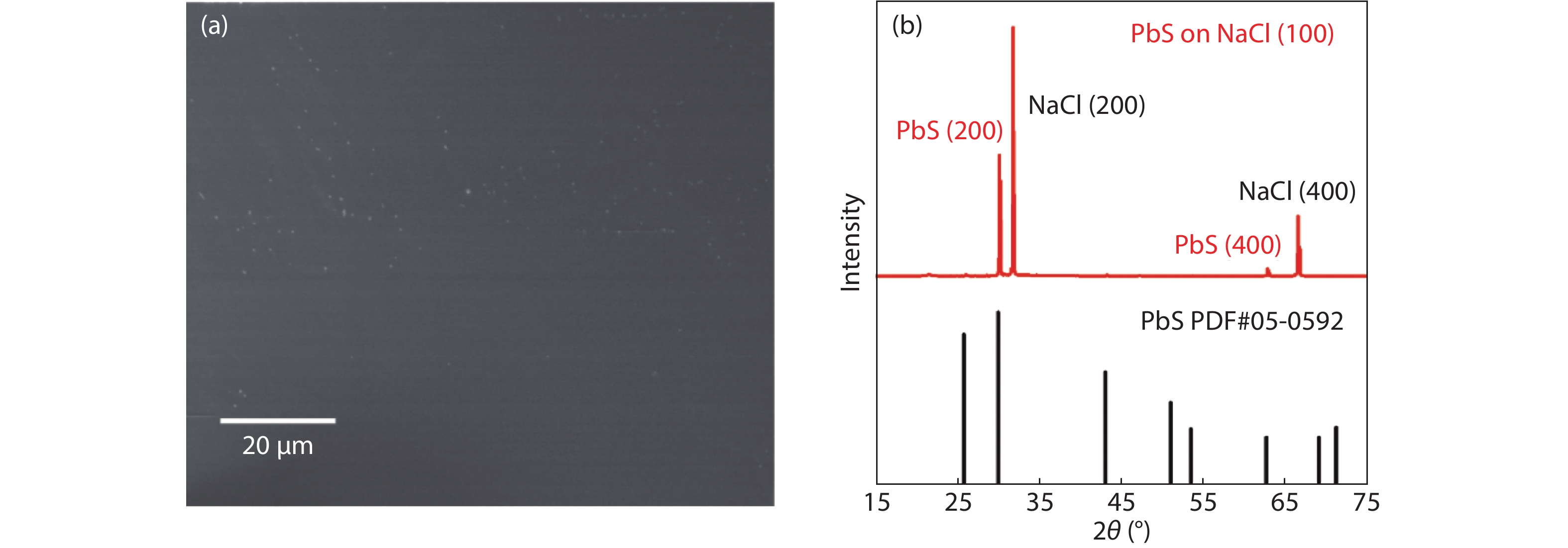 (Color online) (a) SEM image of PbS single-crystal films epitaxially grown on NaCl (100) substrates. (b) XRD patterns of the PbS films on NaCl (100) crystals (red) and reference data (JPCDS, PDF#05-0592, black).