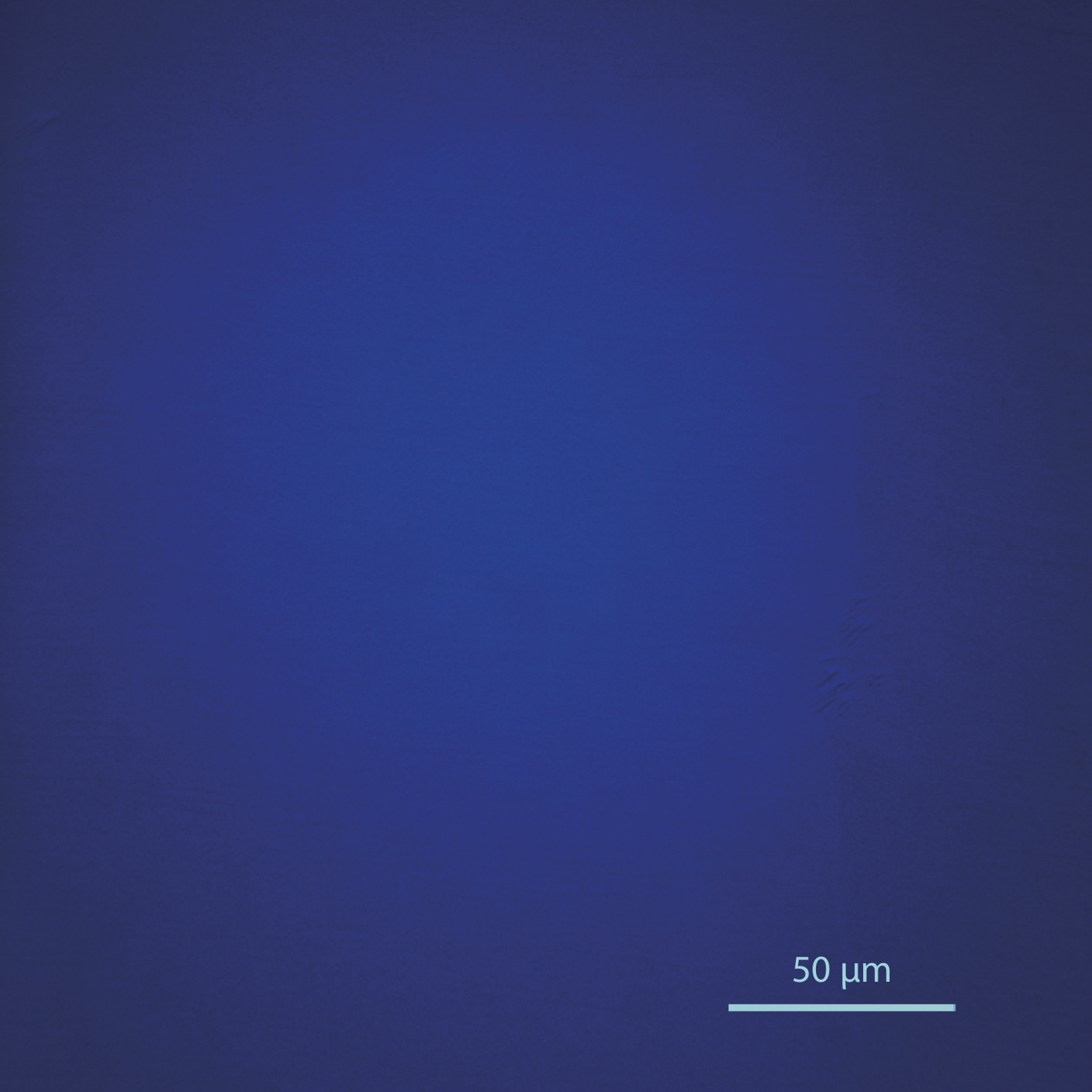 (Color online) Photoluminescence image in micro-scale of a GaN-based blue LD grown on GaN substrate.