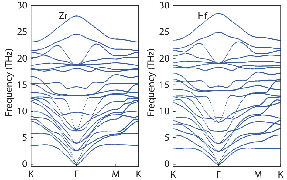 (Color online)The phonon dispersion curves of (M = Zr and Hf) monolayers with GGA.