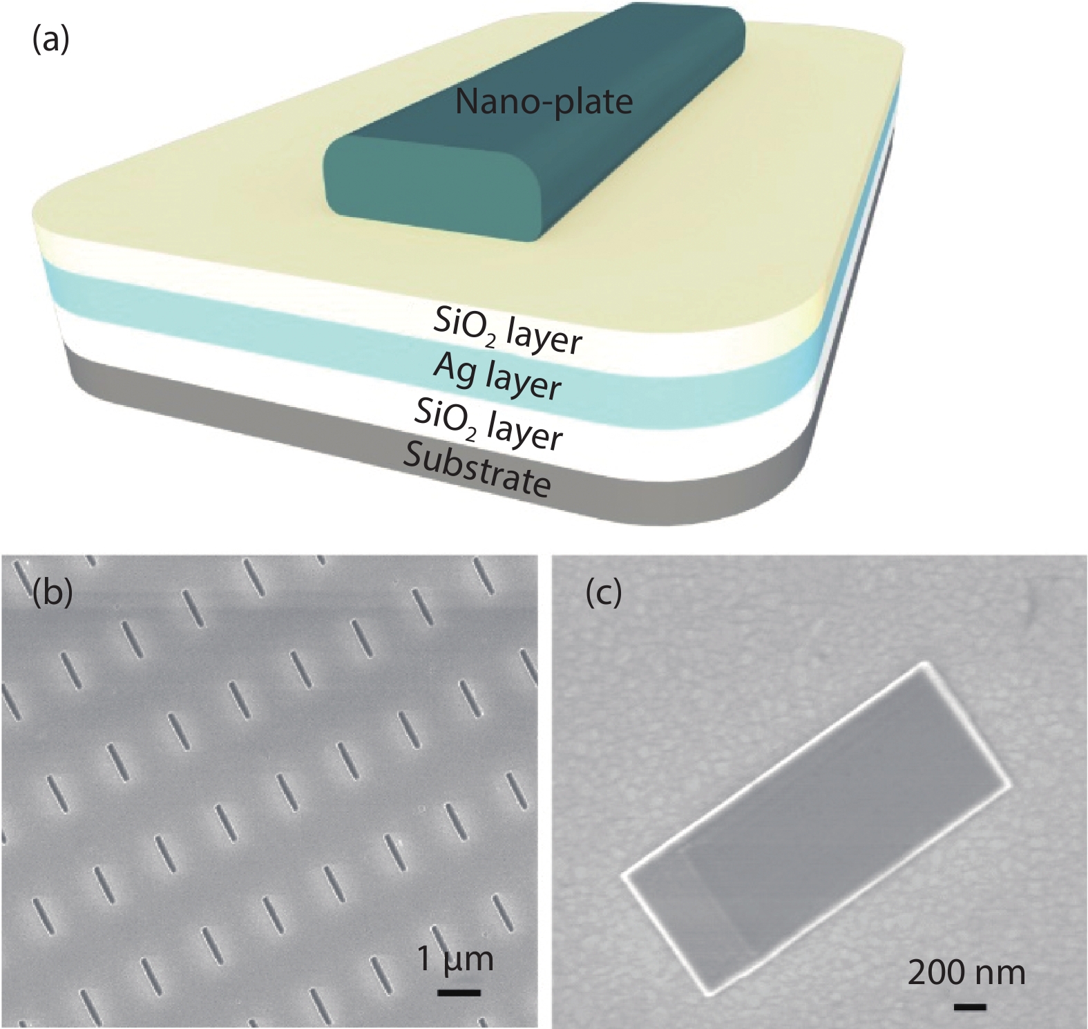 (Color online) (a) Schematic of the nano-plate based SPASER sample, where a thin nano-plate atop silver layer separated by a 10 nm SiO2 gap. (b) SEM image of nano-plate arrays. (c) SEM image of SPASER with single nano-plate (200 nm in width, 1 μm in length, 3μm in height).