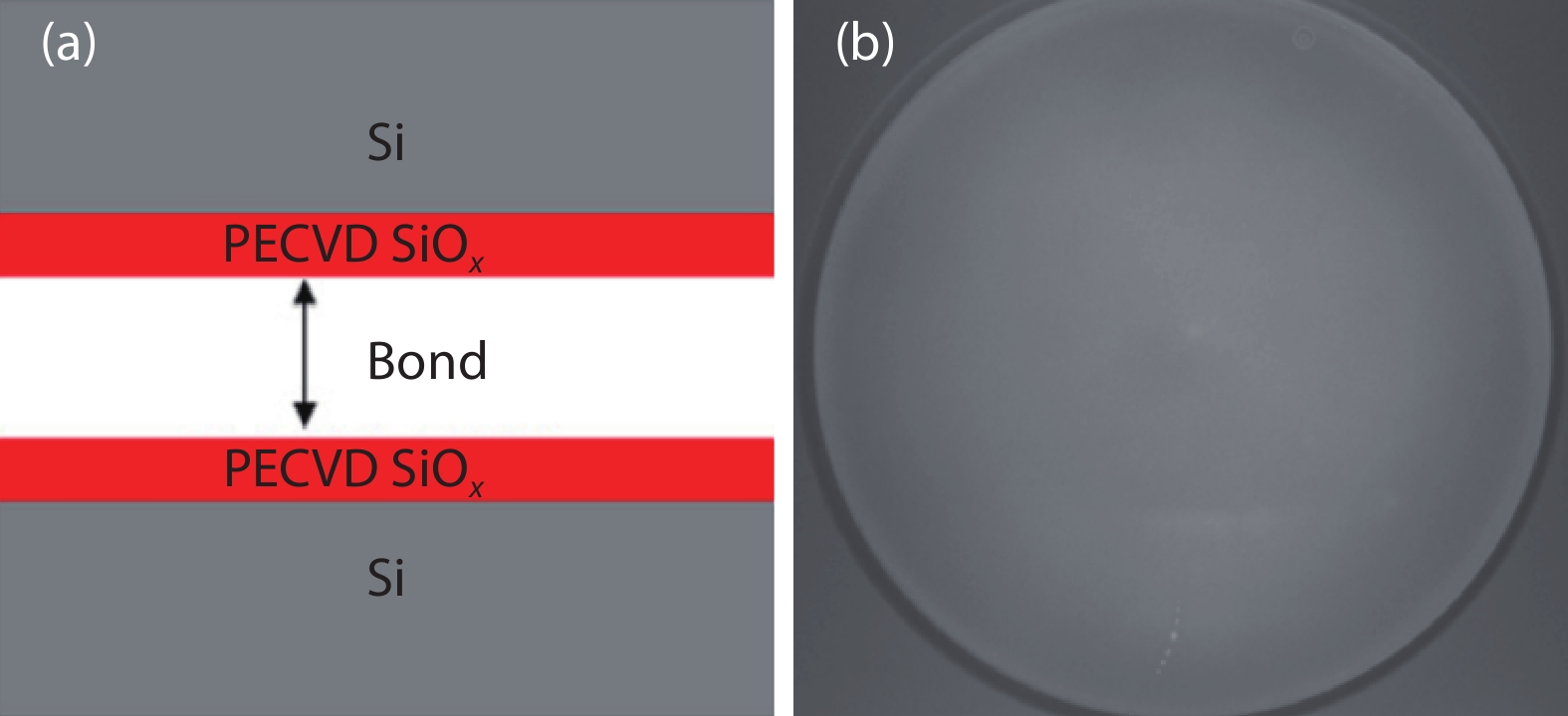 (Color online) (a) Schematic of the DWB process via SiO2 dielectric layers, and (b) shows the IR image of the bonded wafer.