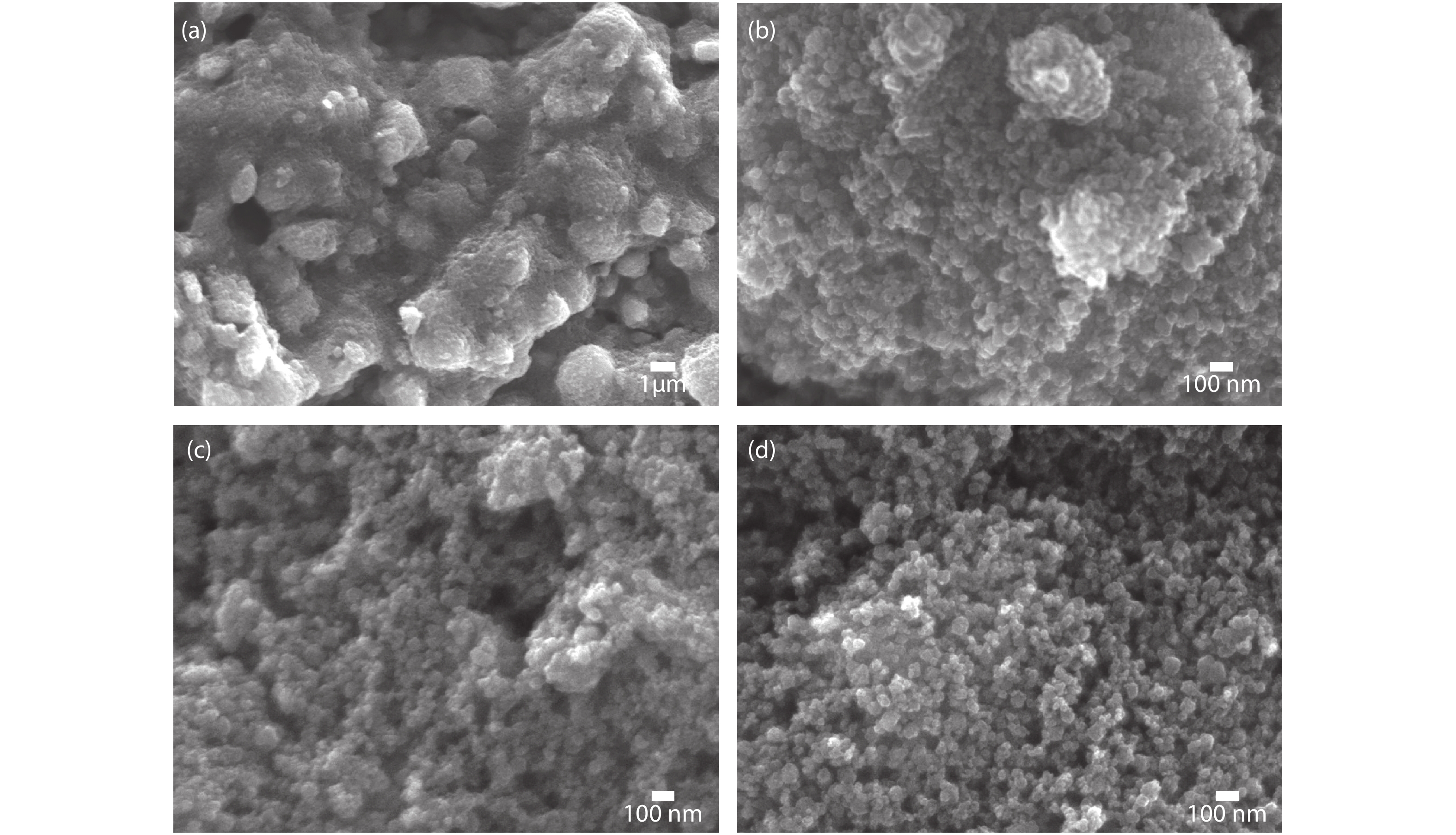 Surface morphology of pristine TiO2 at the magnifications of (a) 1000× and (b) 40 000× showing macroscopic clusters and agglomerated particles respectively, (c, d) WO3 coated TiO2 nanoparticles layer showing randomly distributed TiO2 nanoparticles and the porous nature.
